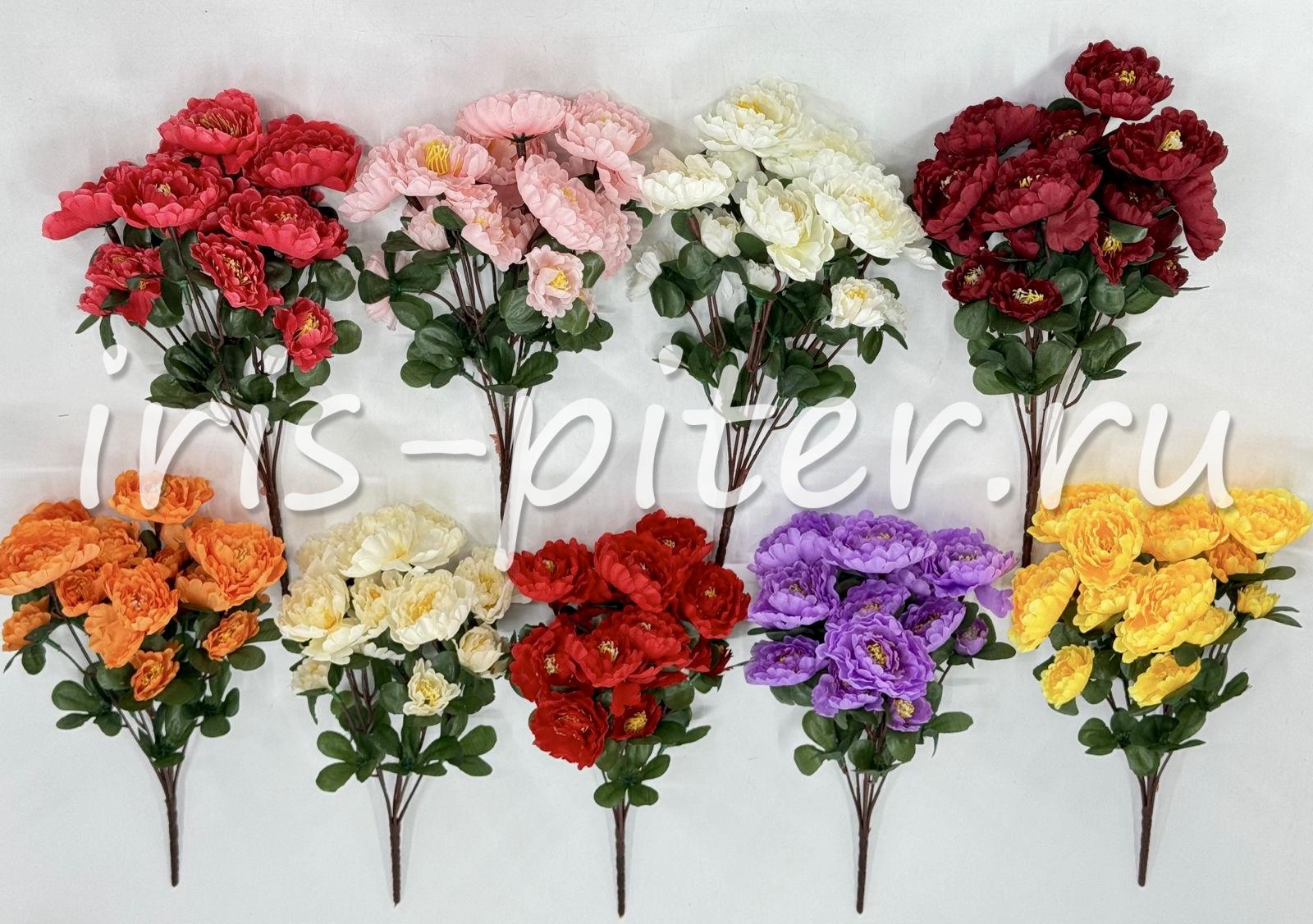 Букет пион 6г 12бут