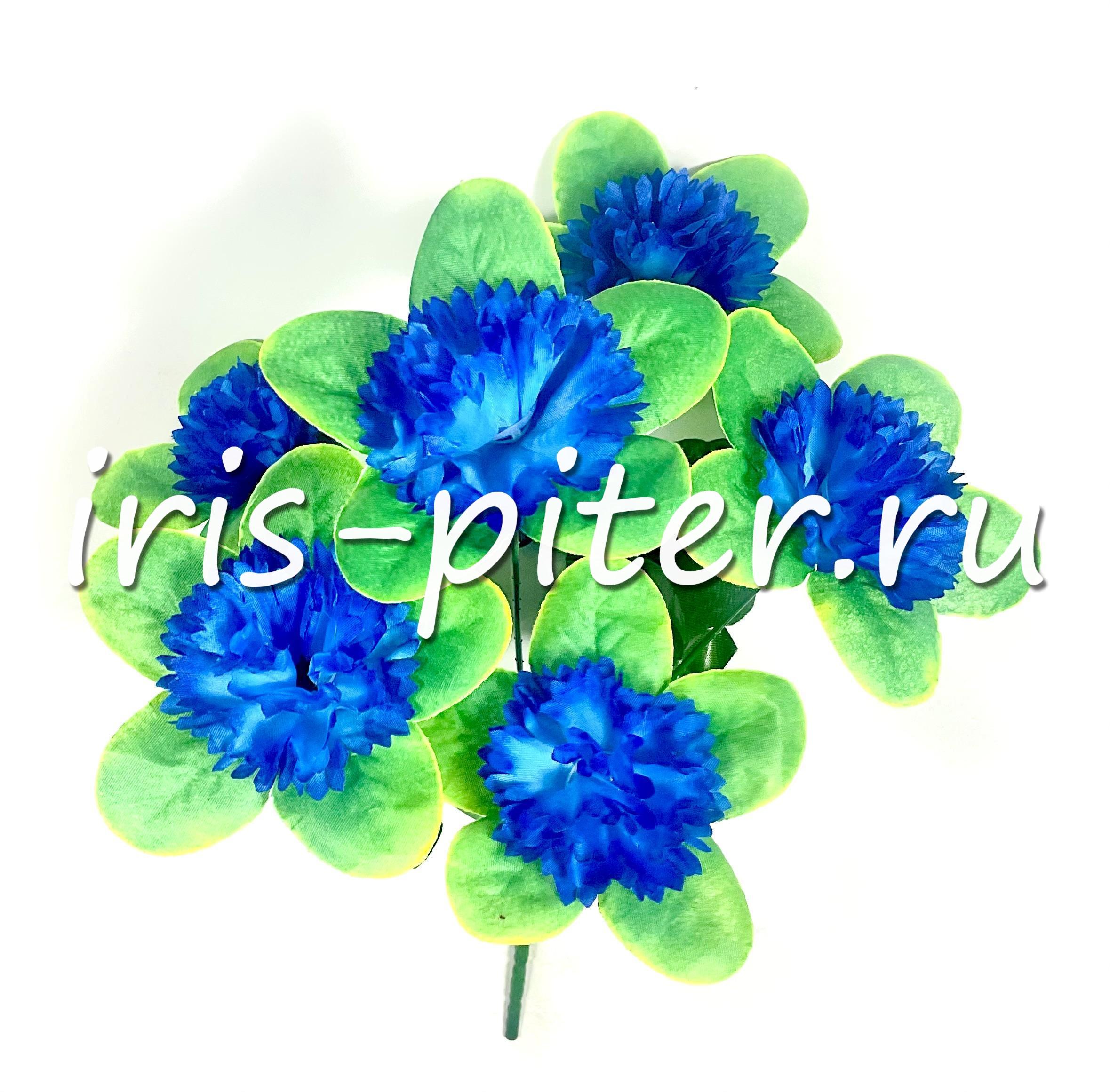 Букет гвоздика с листом 6г