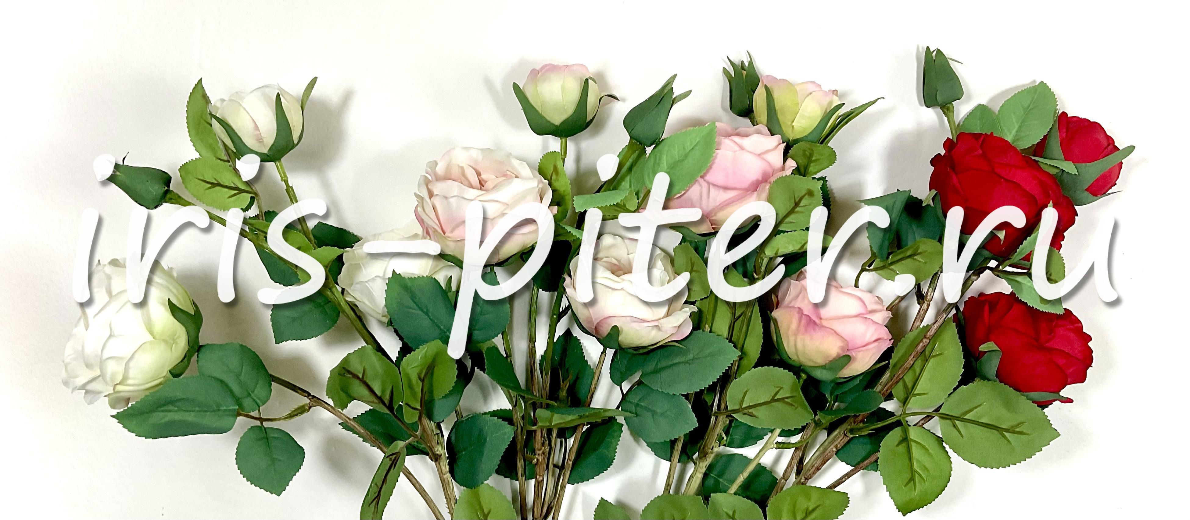 Ветка роза 3г 2бут