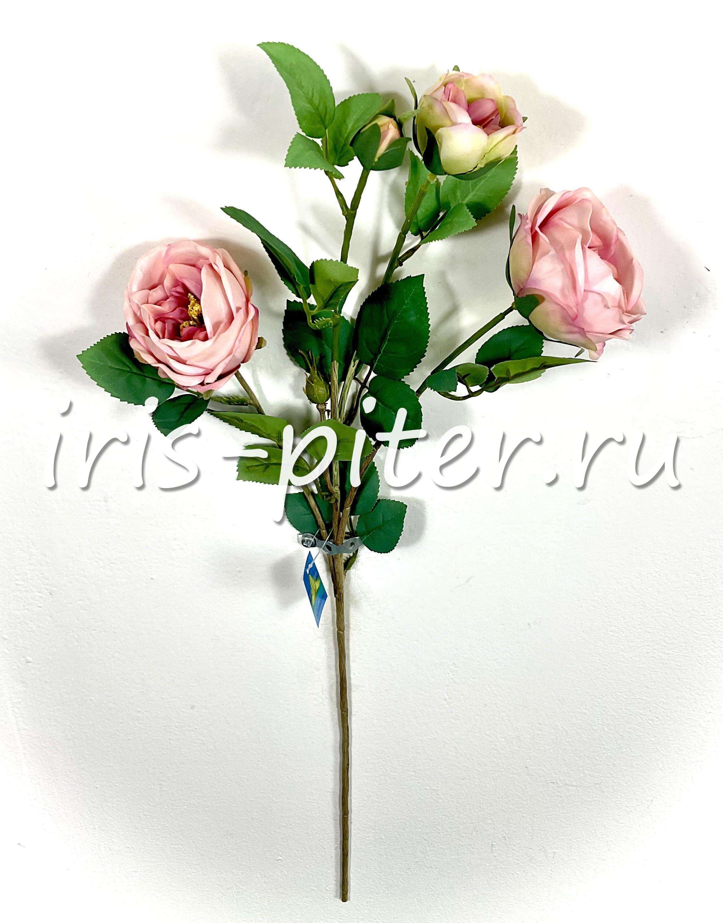 Ветка роза 3г 2бут