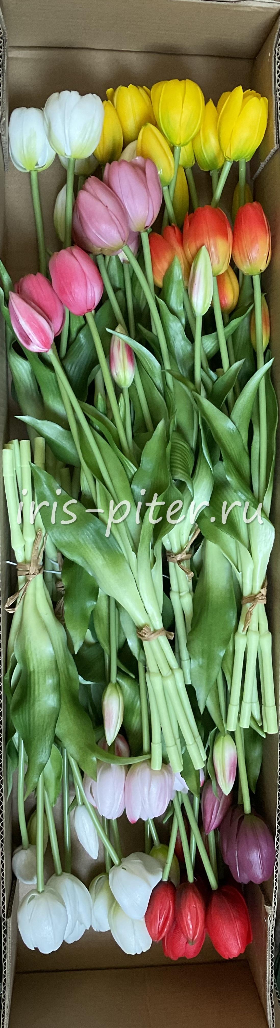 тюльпан 5г латекс