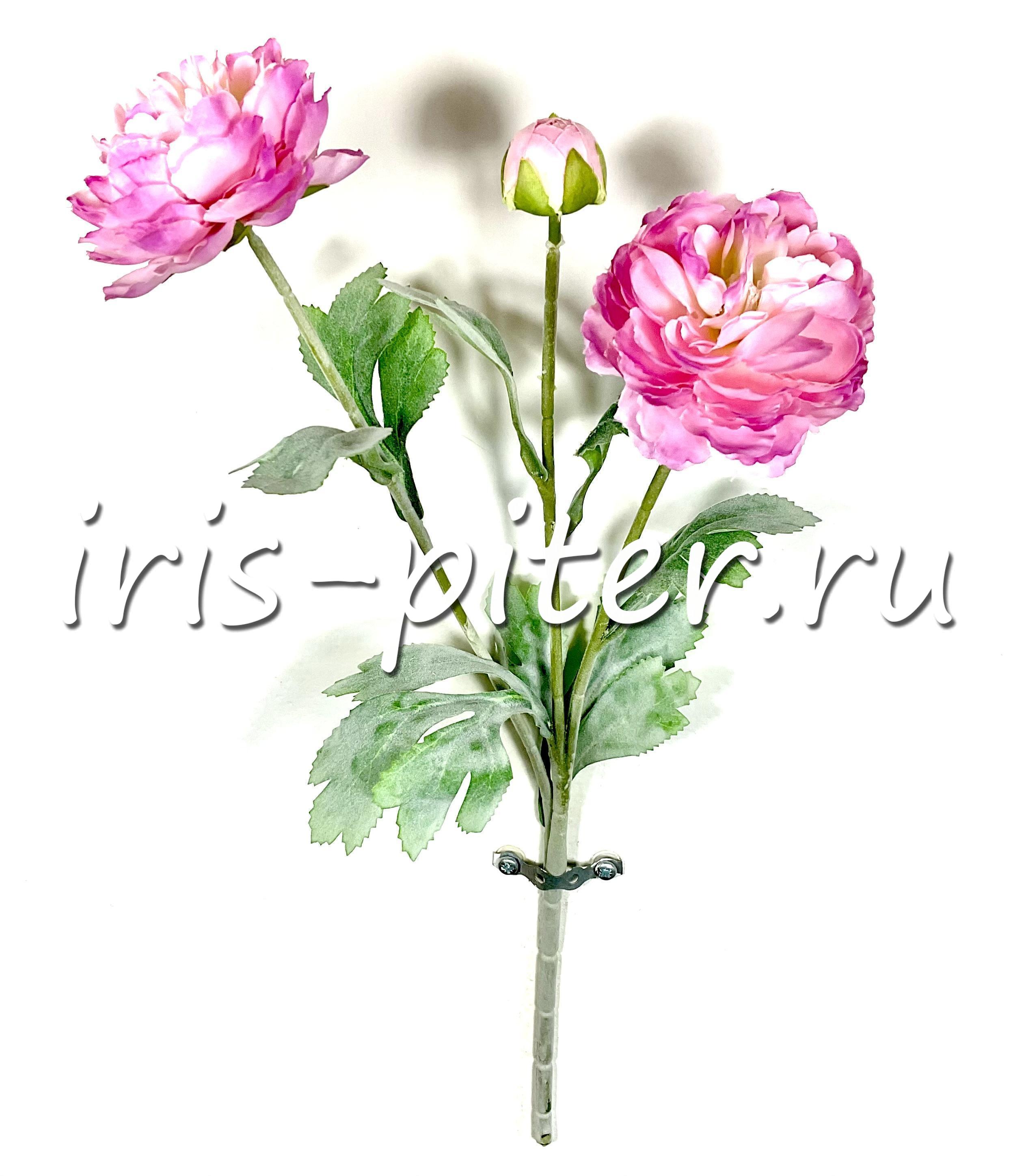 ветка ранункулос 2г 1бут