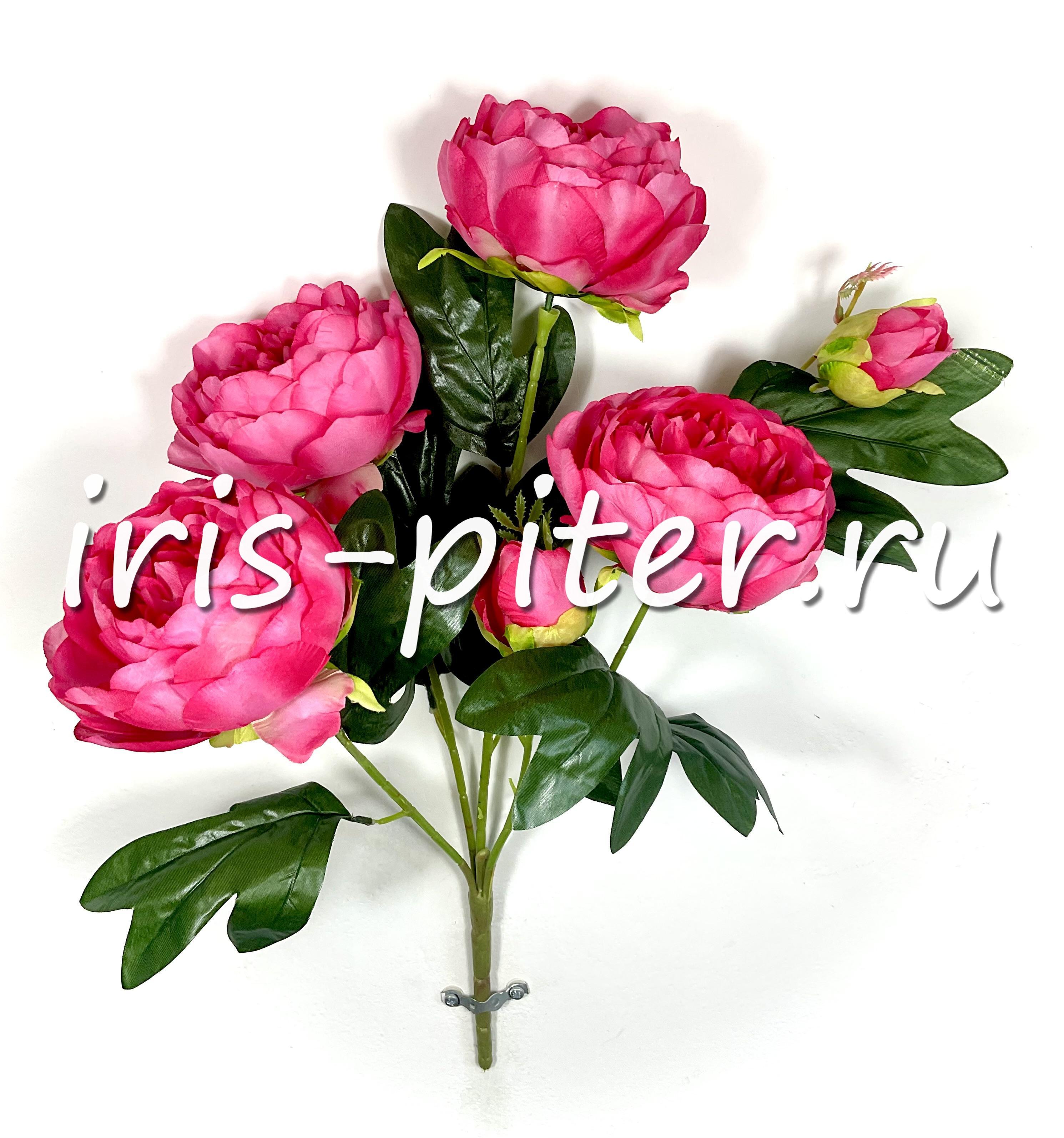 Букет пион 5г