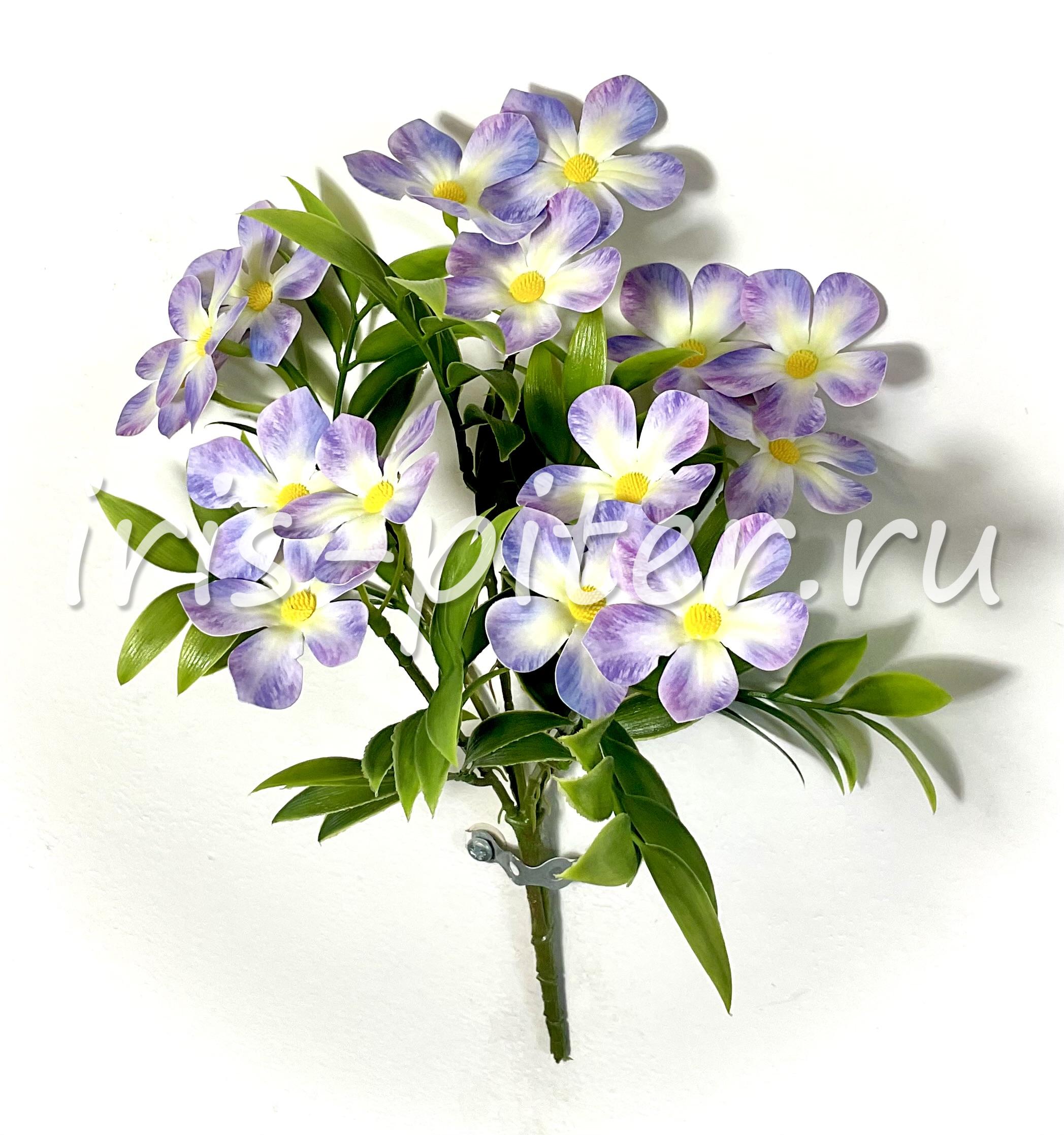 Букет бальзамин 15г