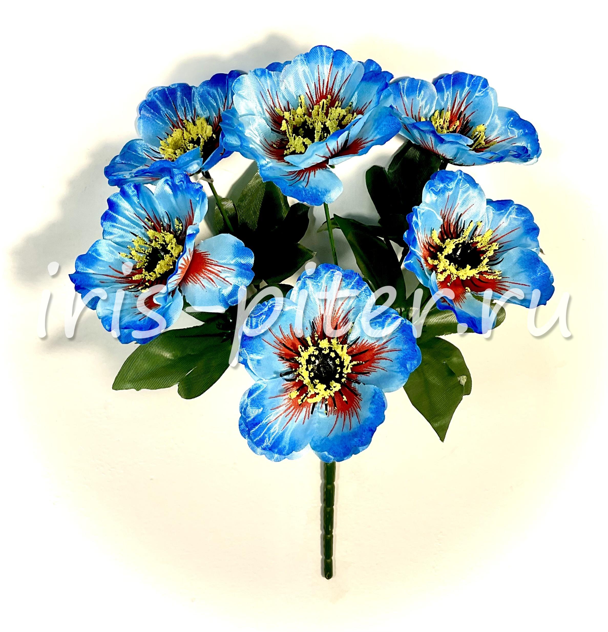 Букет анемон 6г