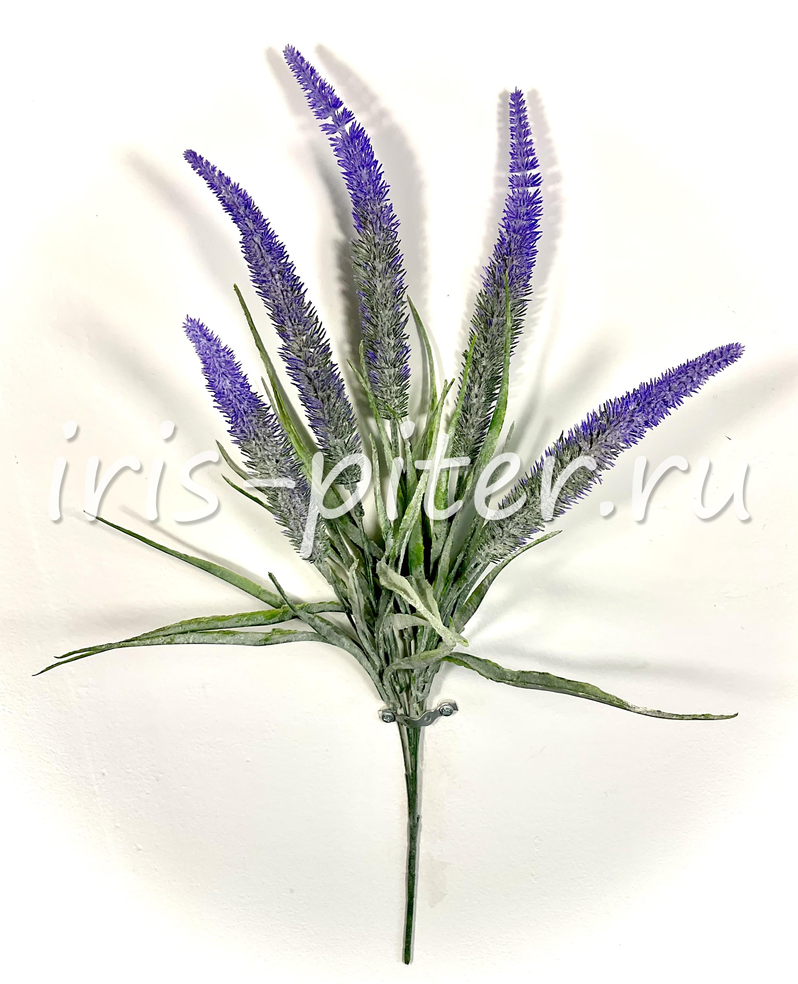 эримурус 5вет 