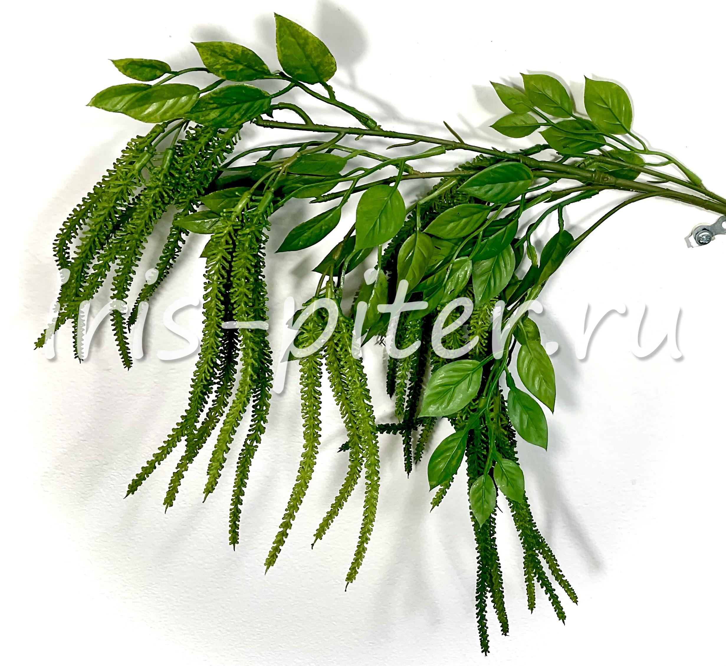 ветка амарант зеленая 