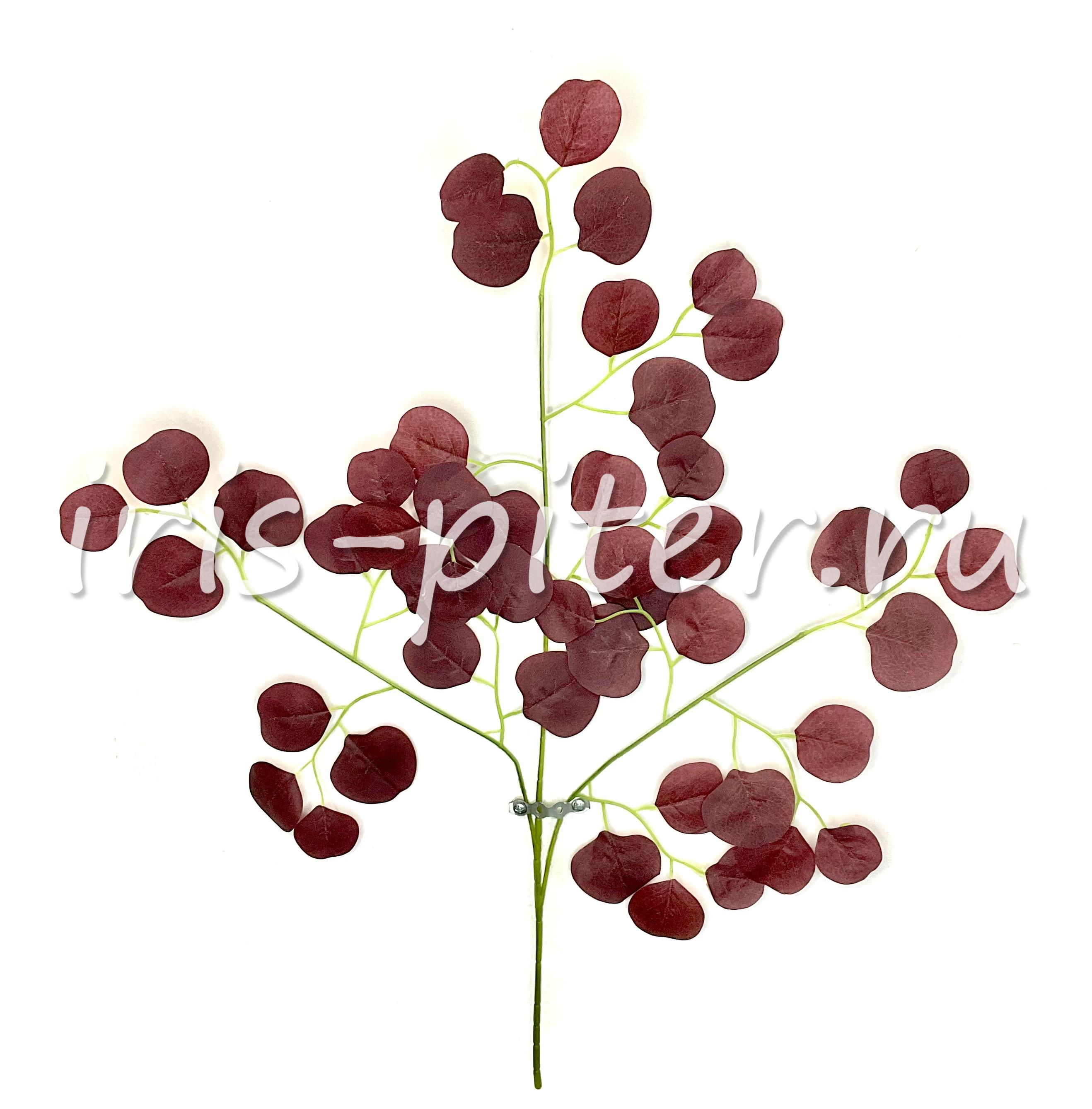 Ветка эвкалипт бордовая