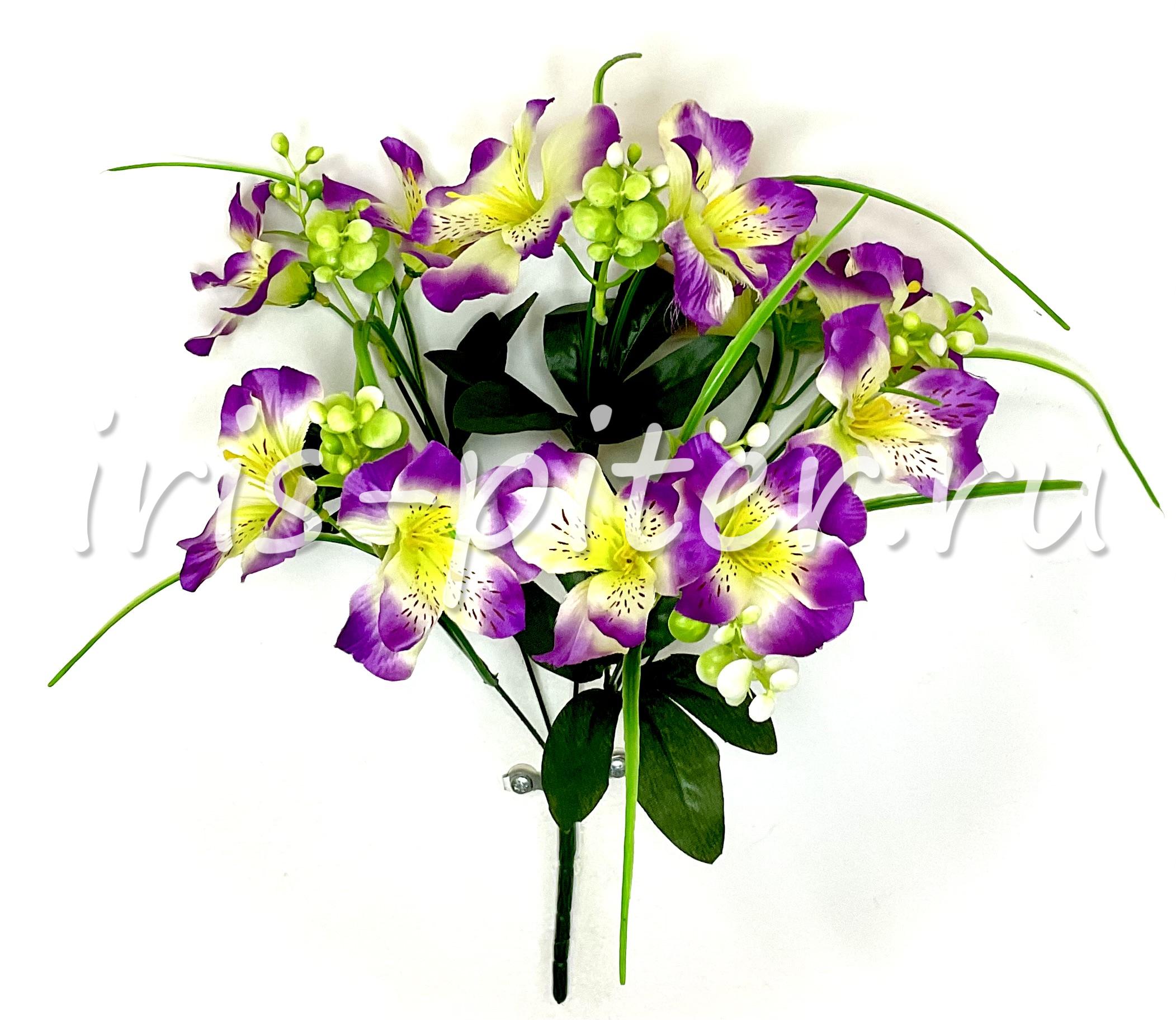 Букет орхидея 12г 