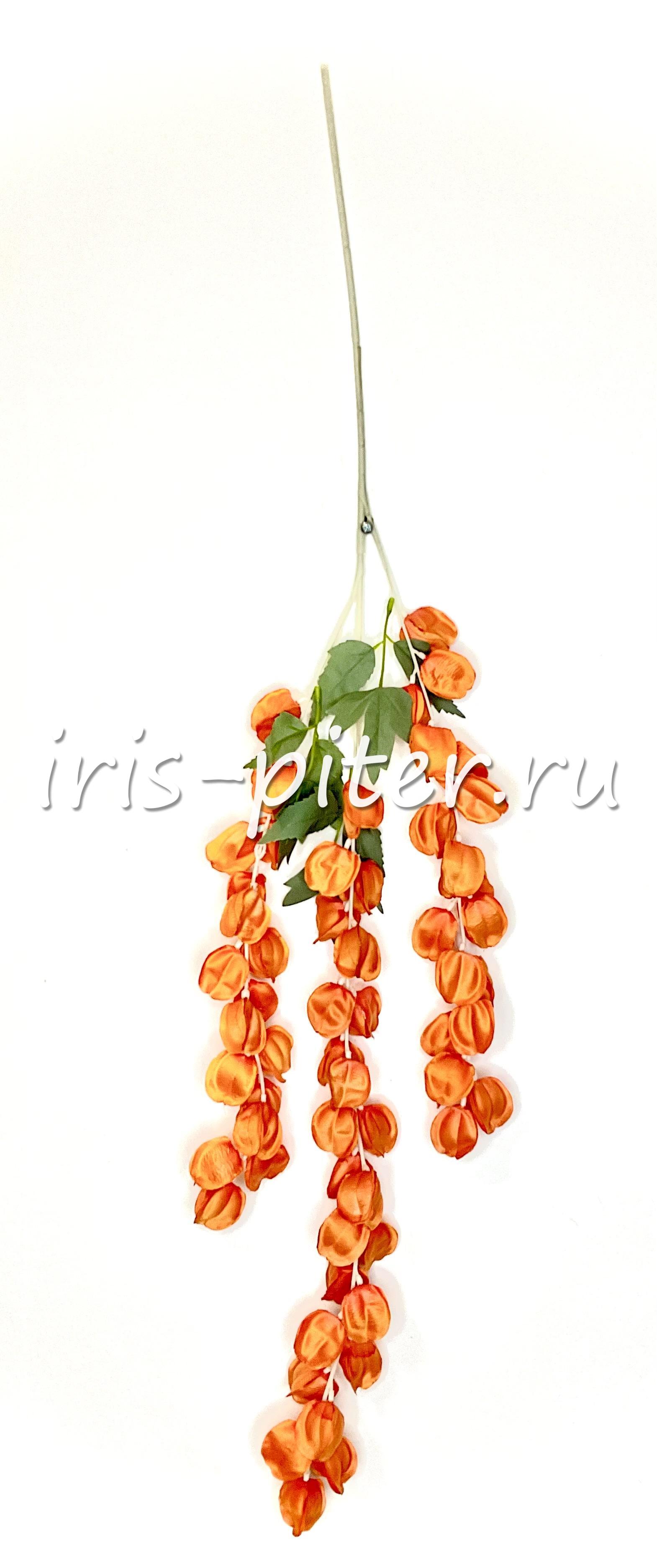 ветка физалис 3вет