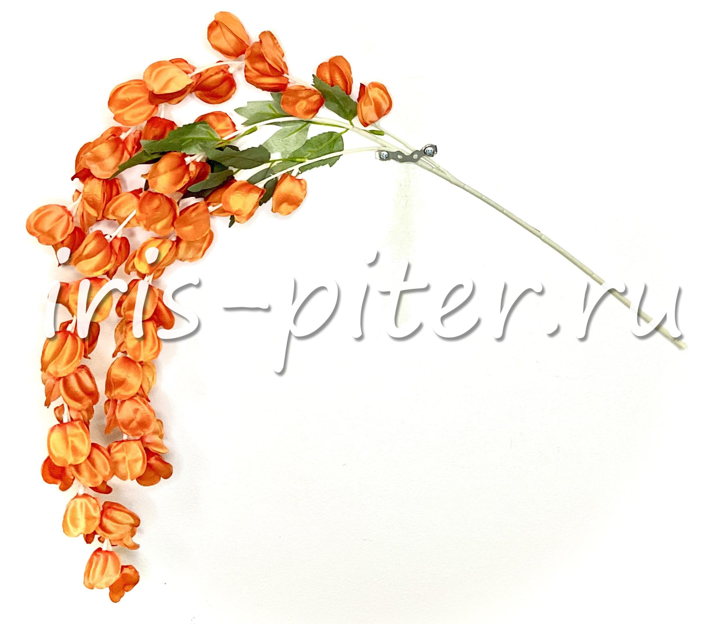 ветка физалис 3вет