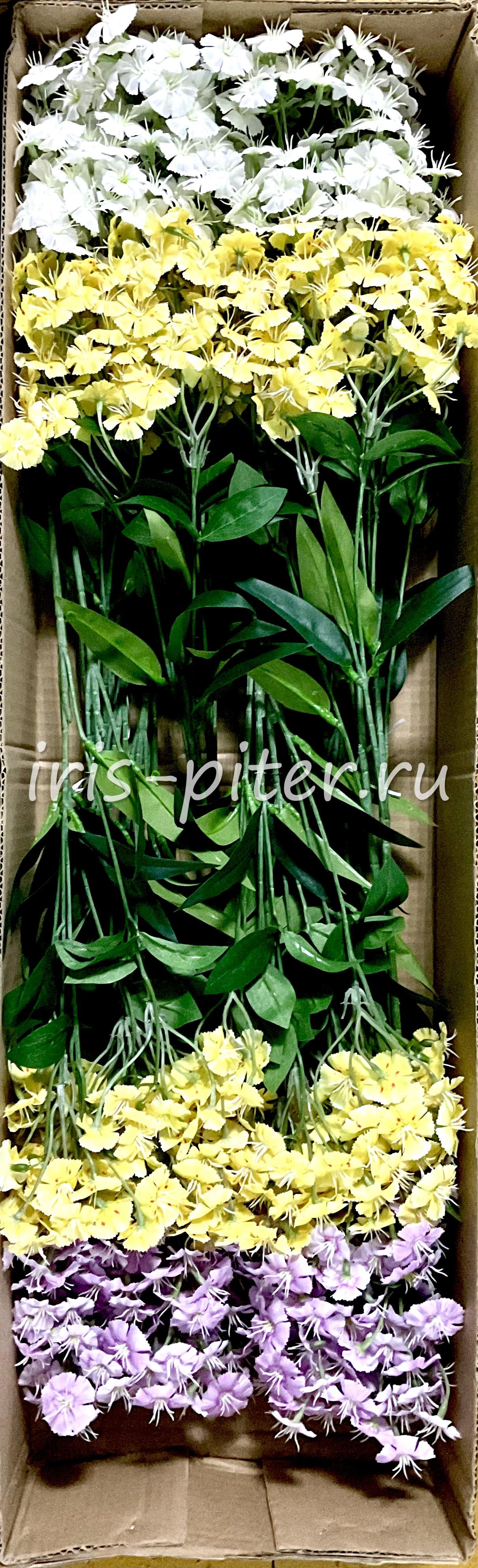 Ветка гвоздика турецкая 6вет