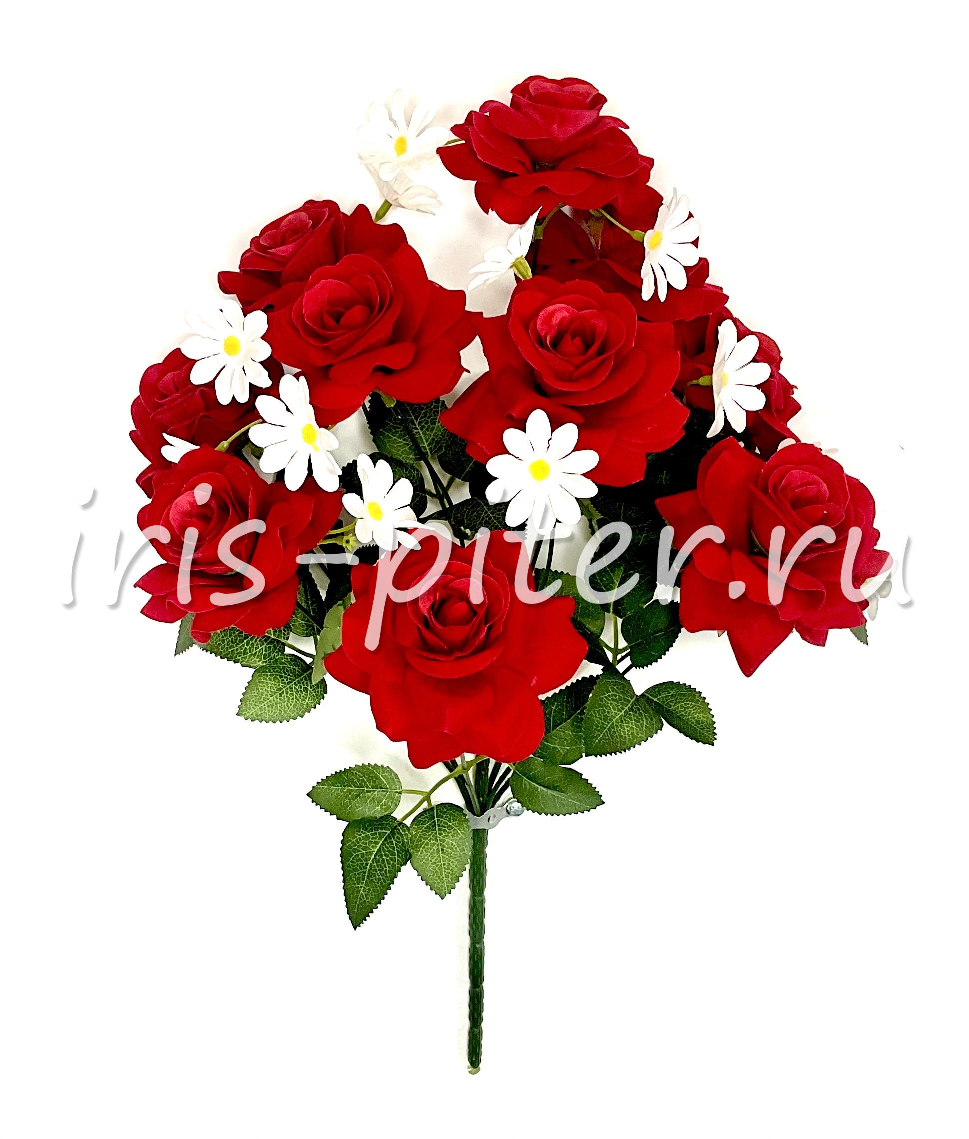 Букет роза 11г барх раскрытая с ромашкой 