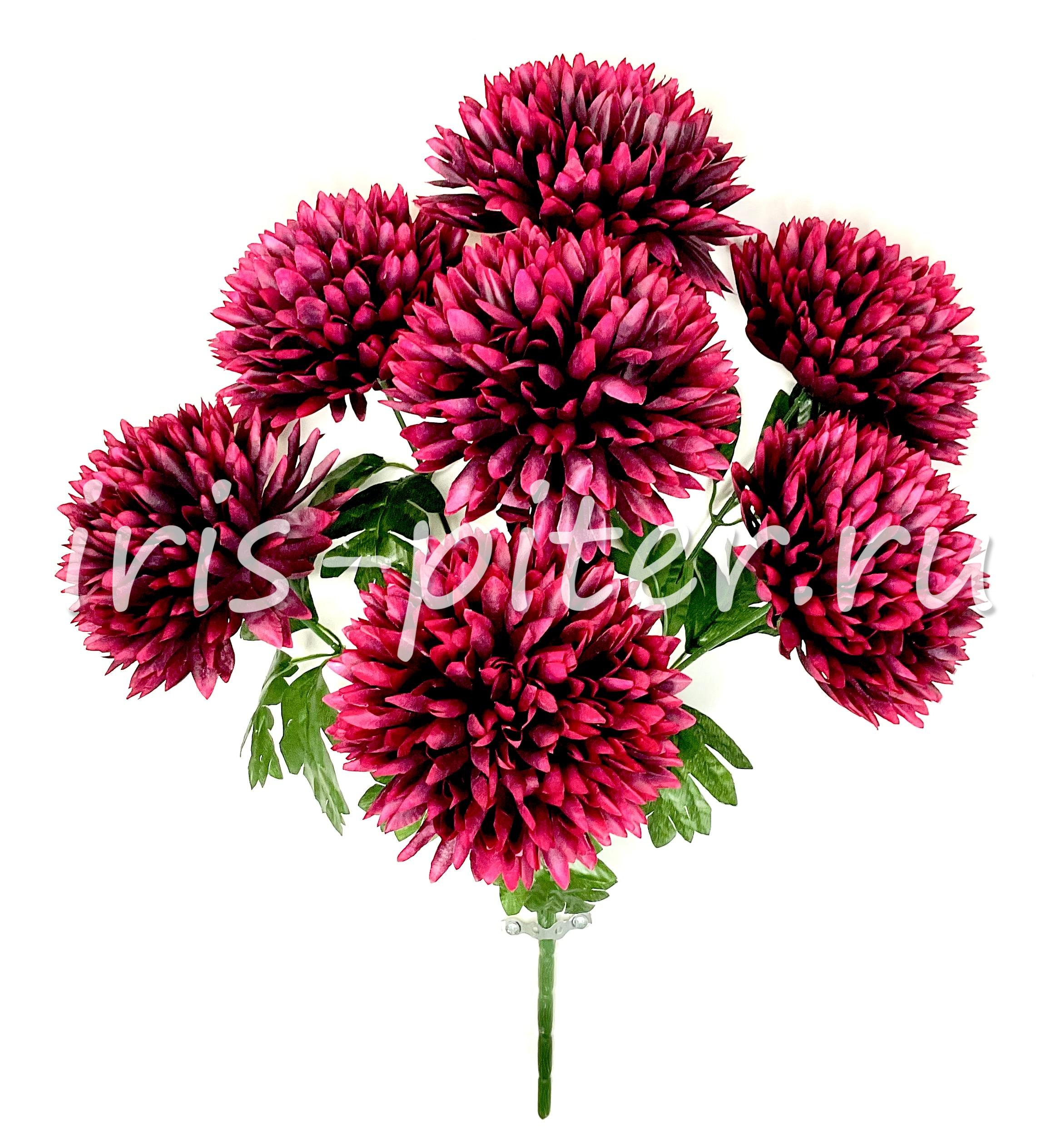 Букет хризантема 7г большая голова 