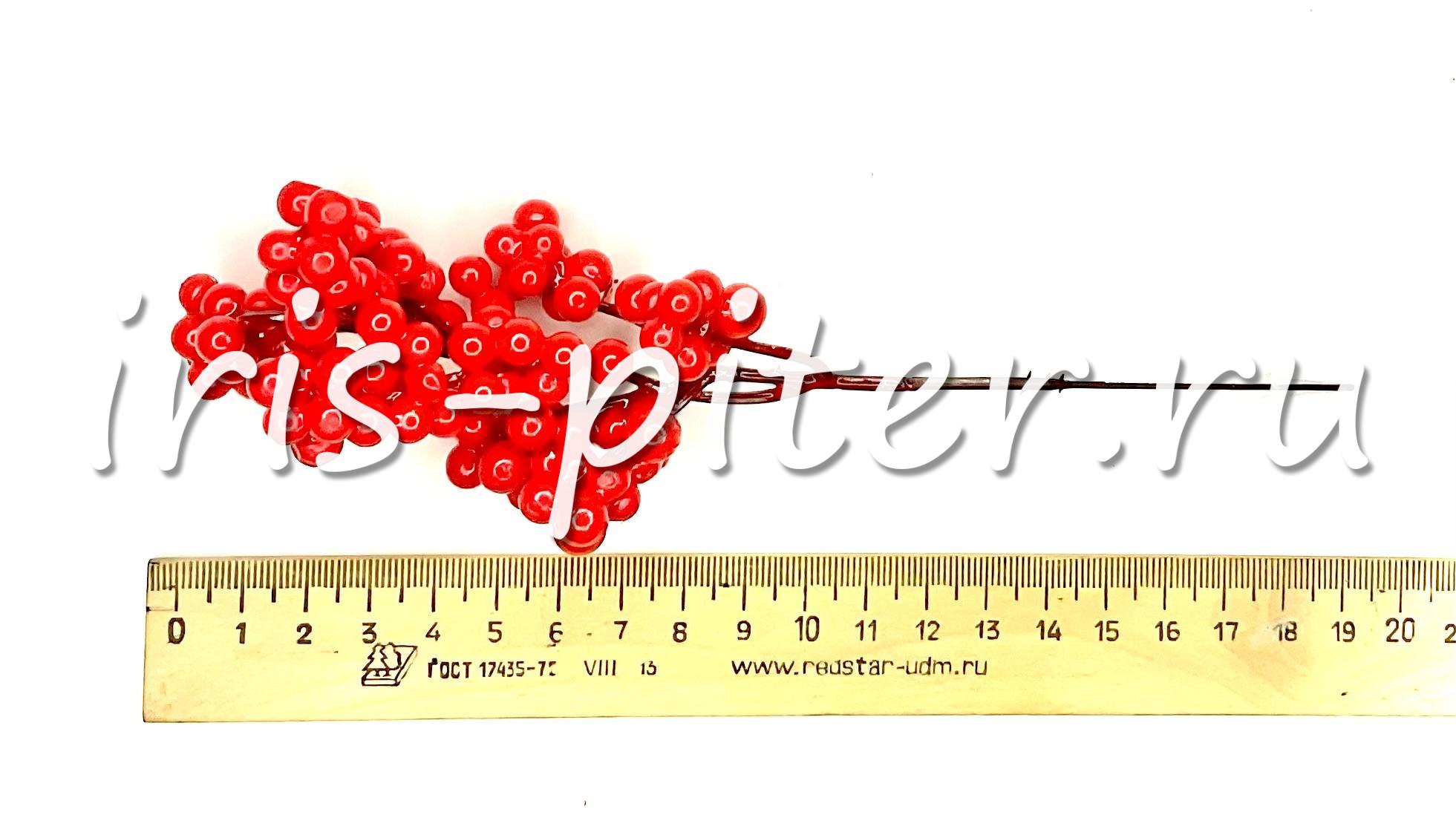 Ветка ягода