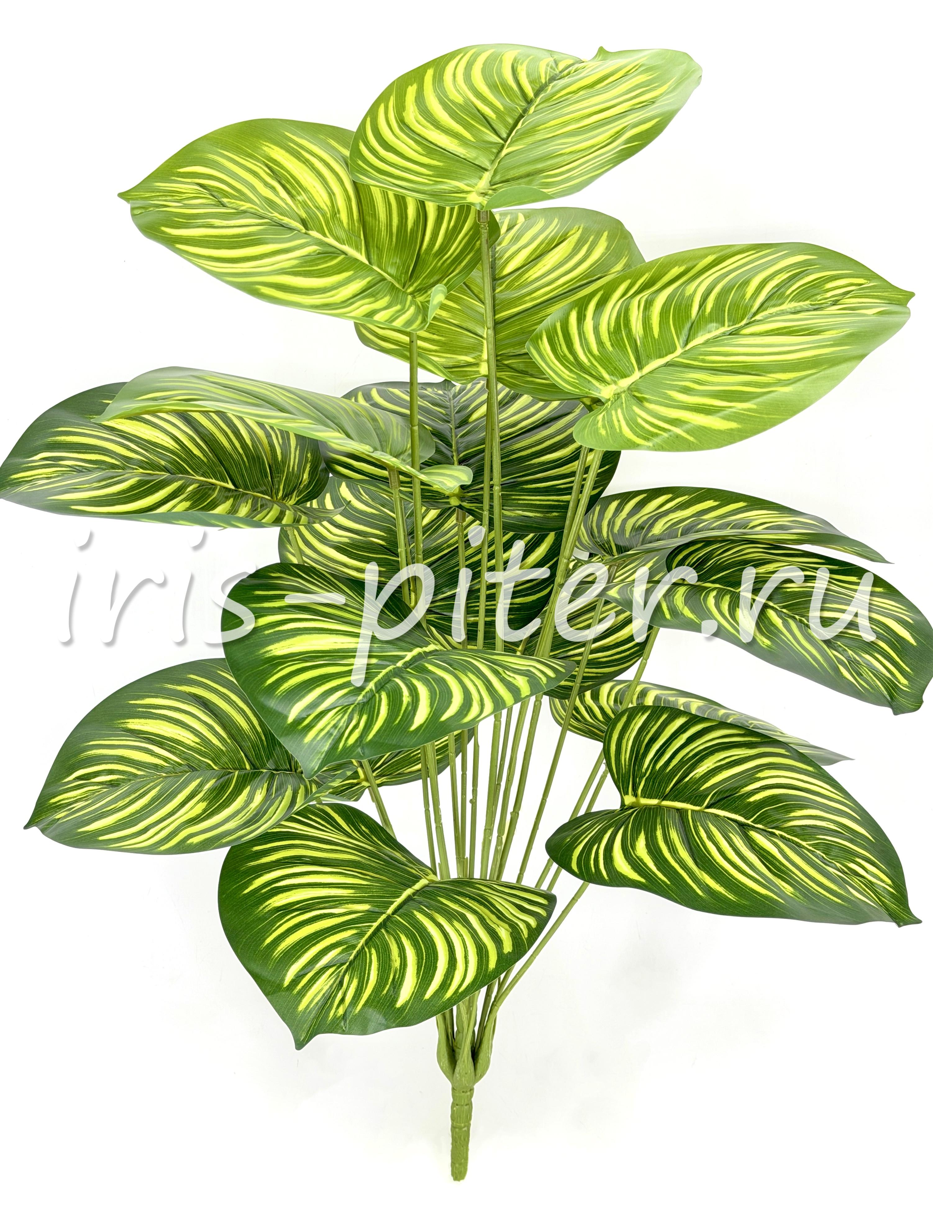 сциндапсус сборный 18листов 