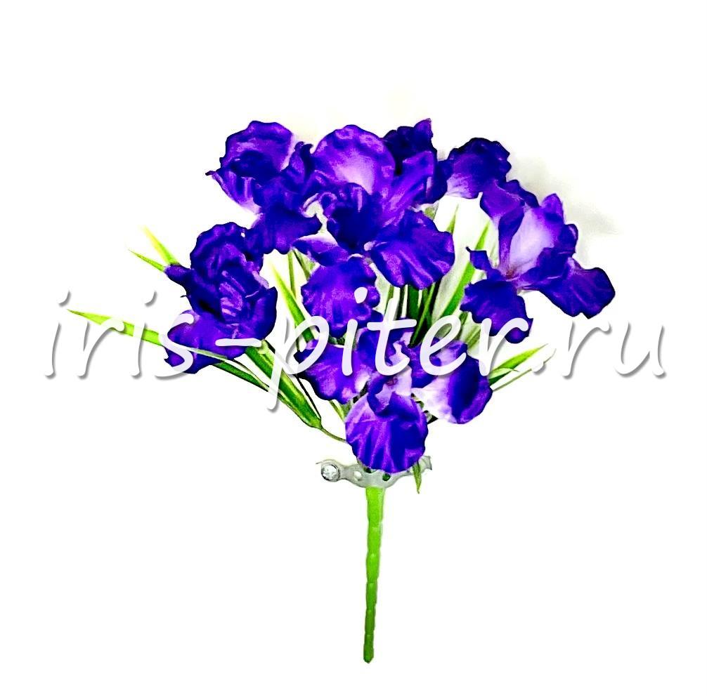 Букет ирис 6г