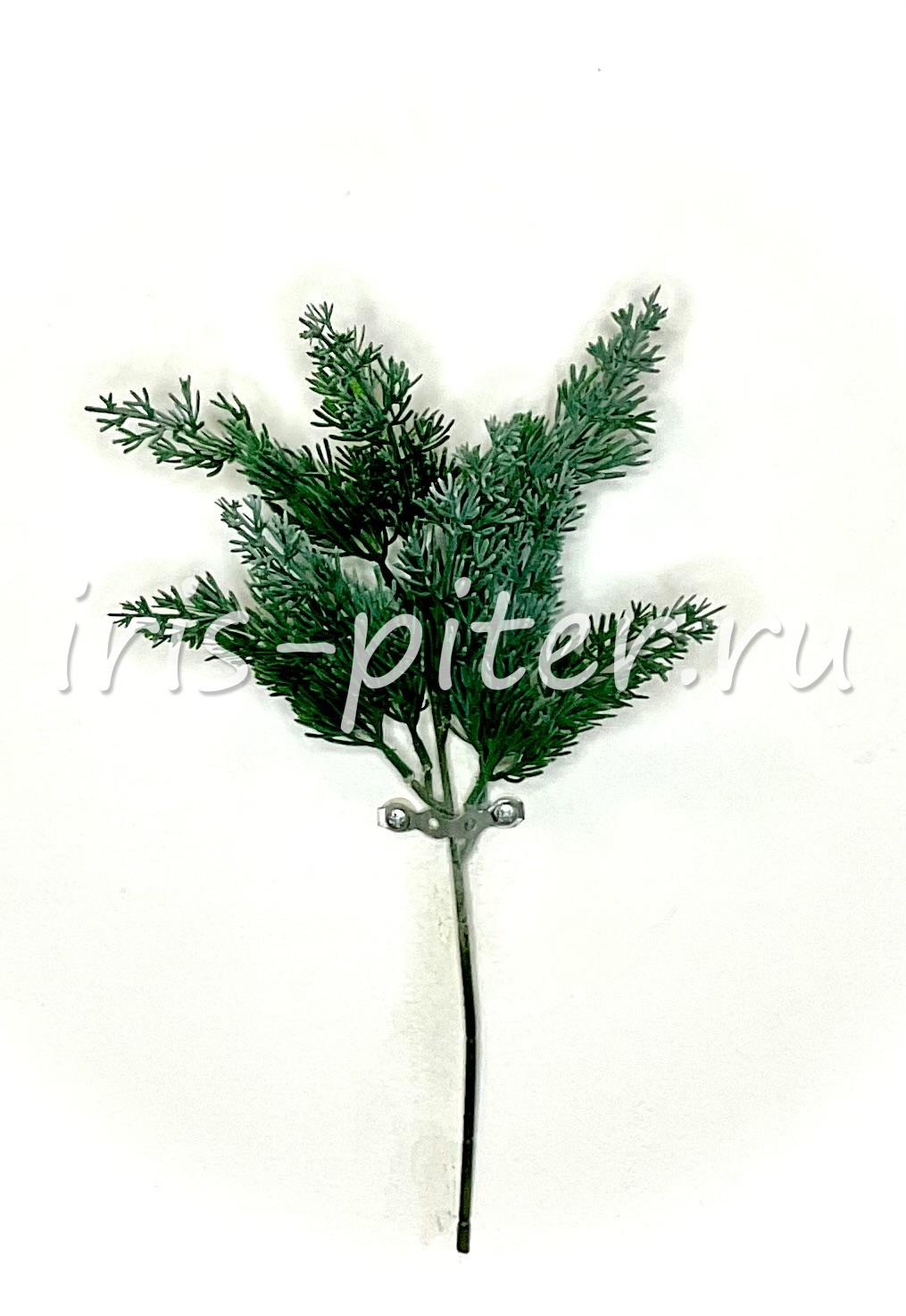 Ветка кипарис 6вет