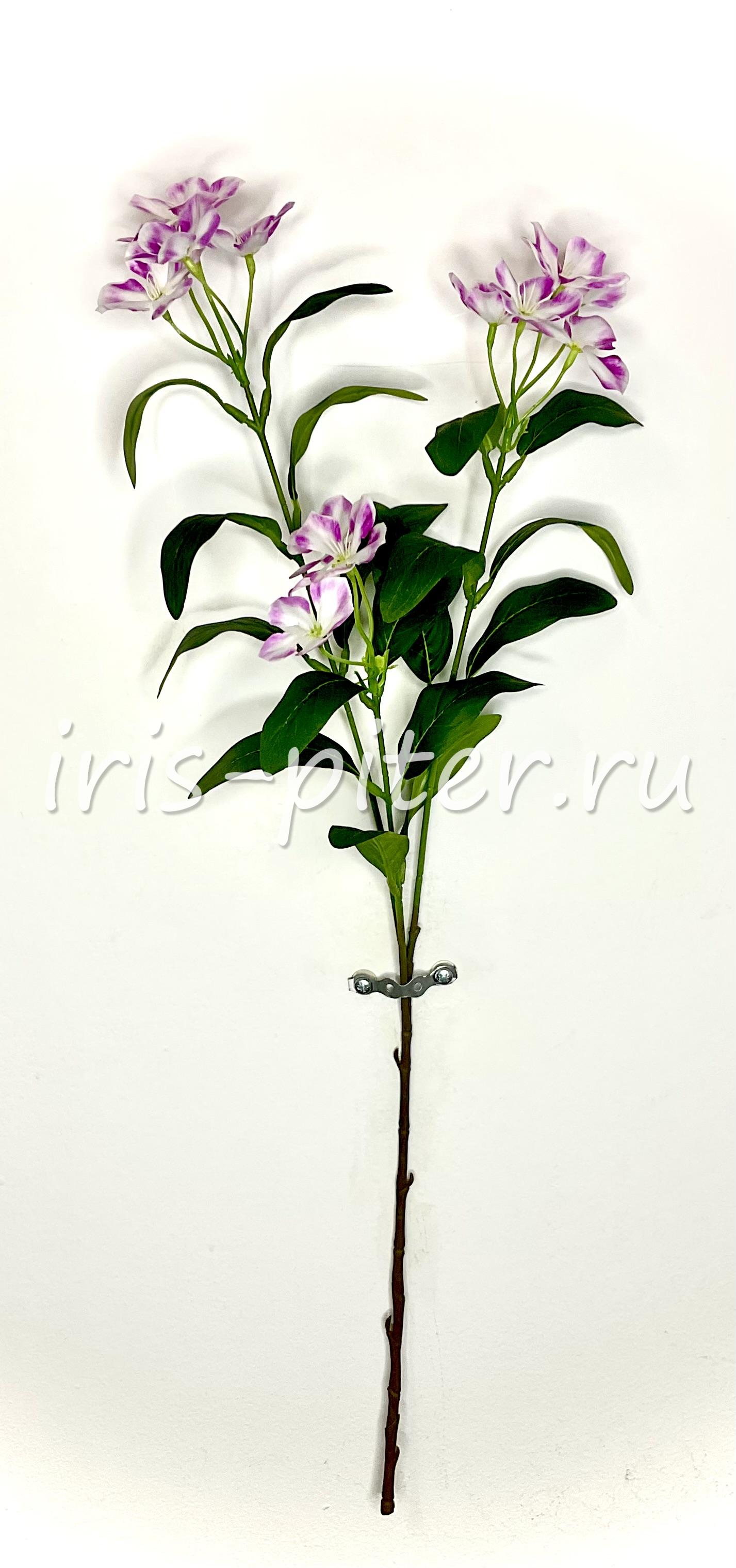 Ветка флокс 3вет 15г