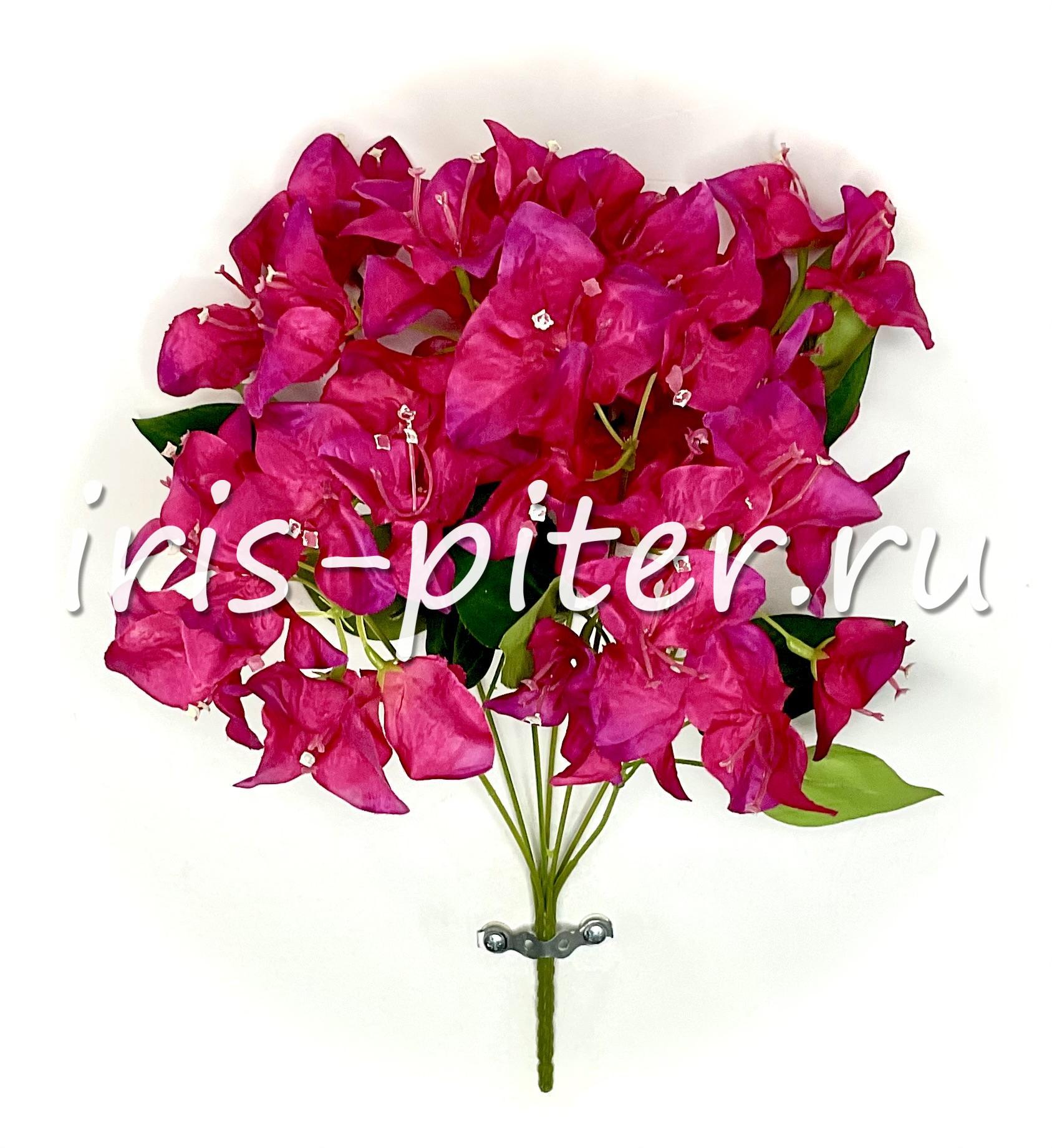 Букет бугенвиллия 7в 45г