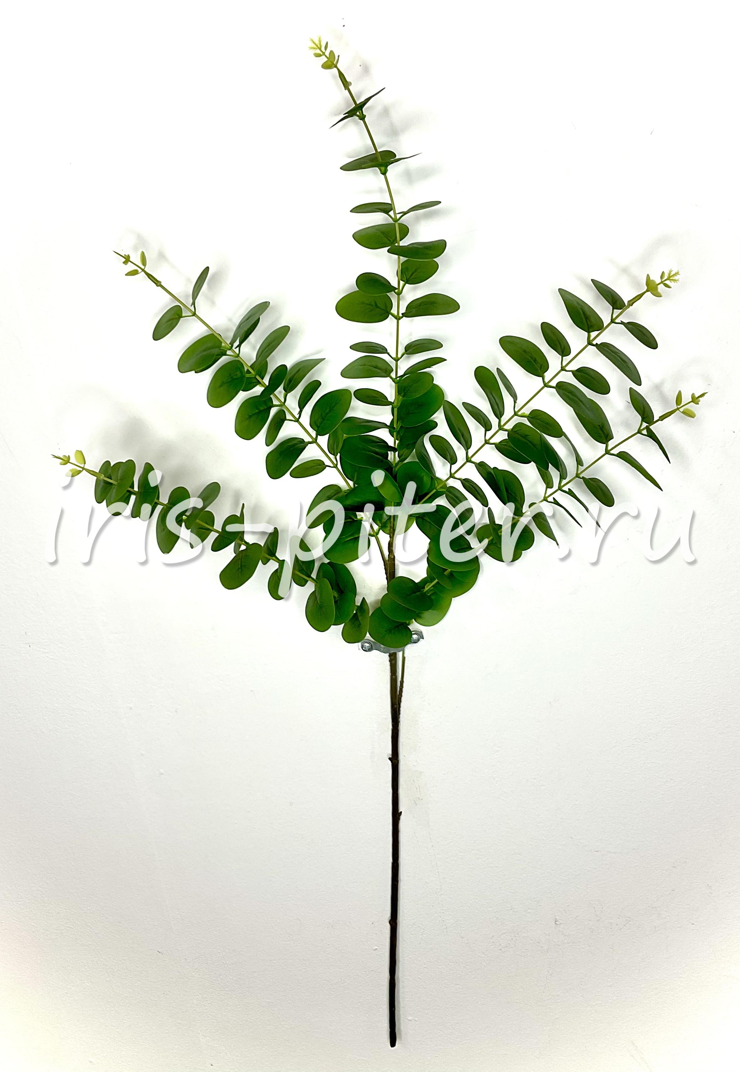 Ветка эвкалипт 5вет