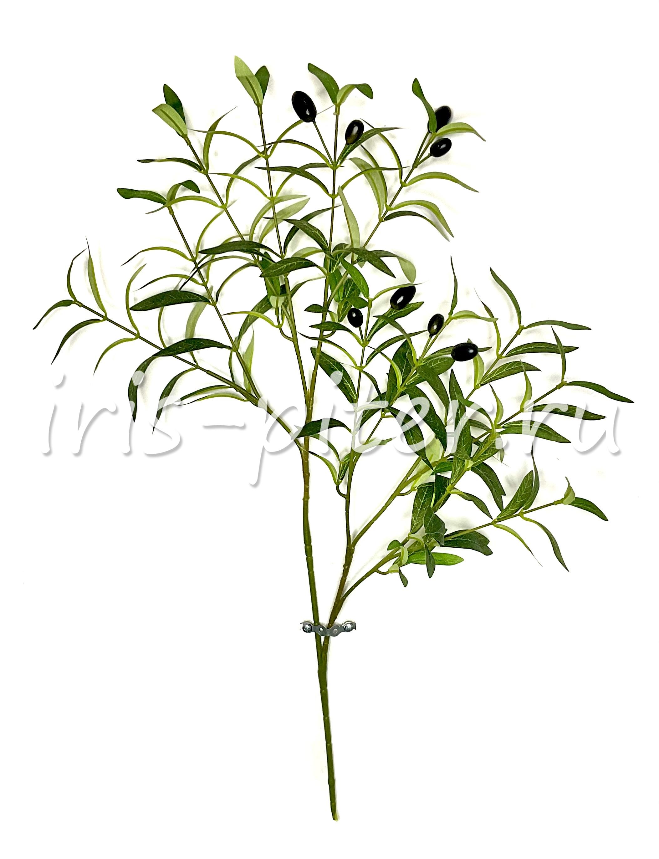 Ветка олива 70см