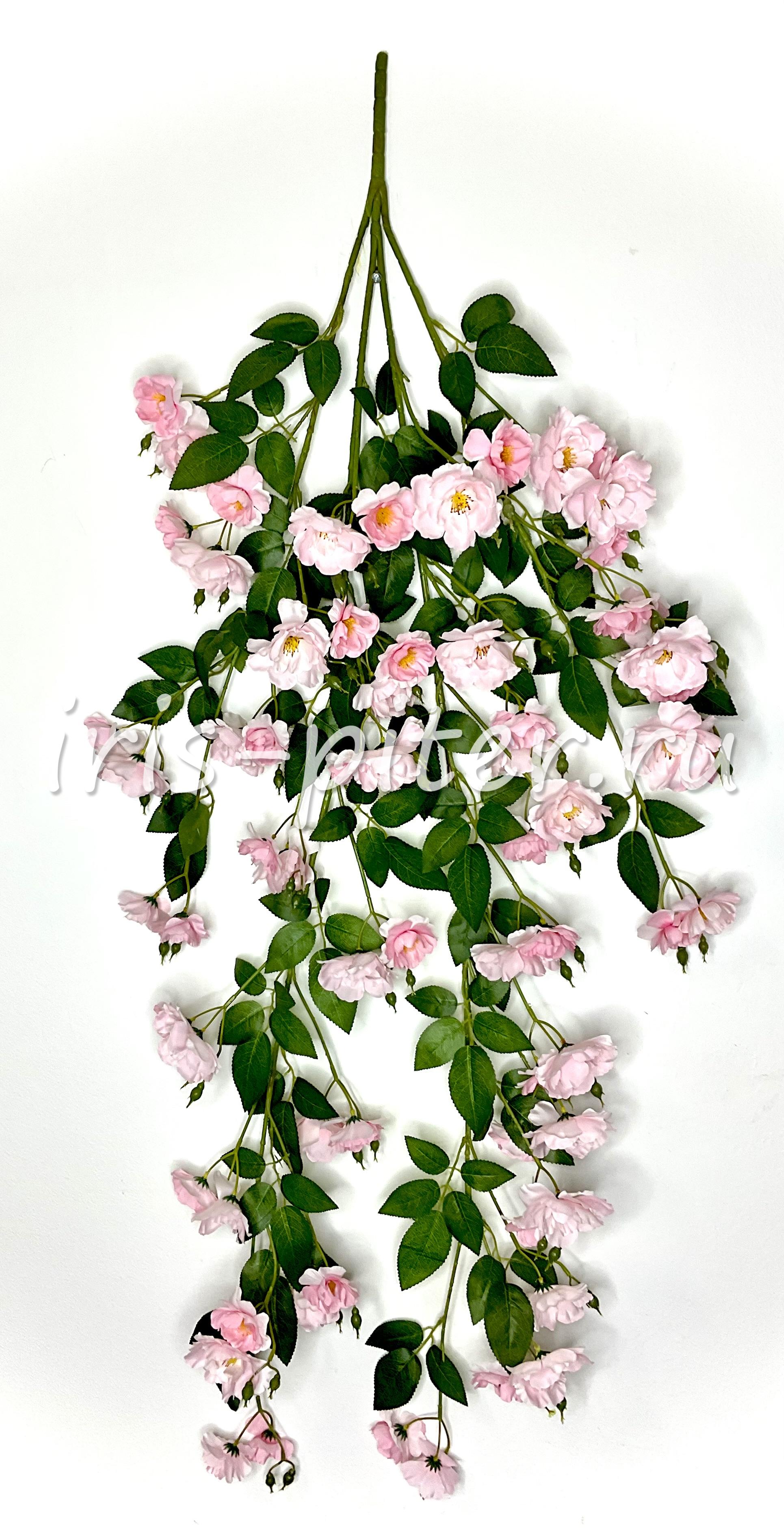 Ветка яблоня 4вет