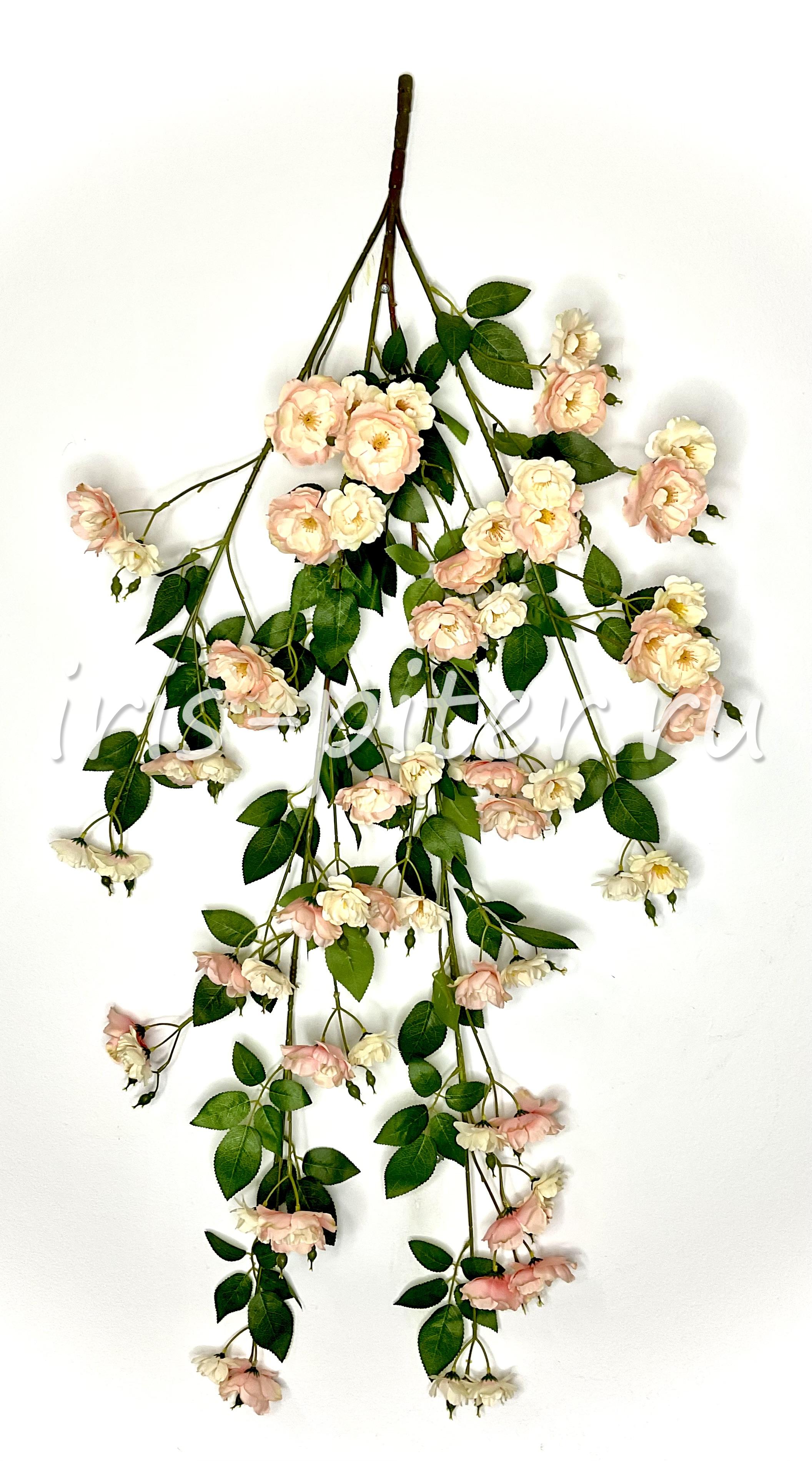 Ветка яблоня 4вет