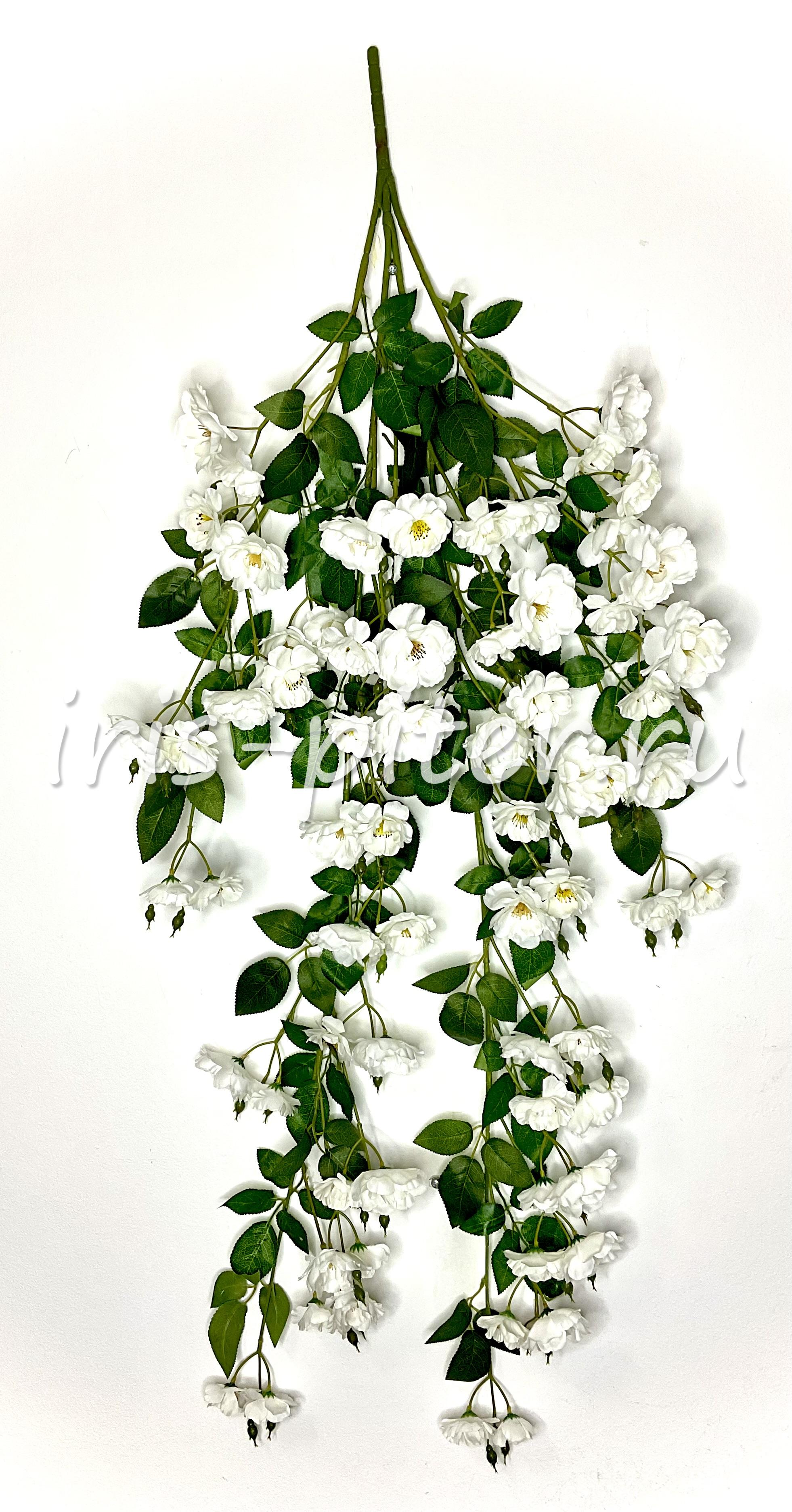 Ветка яблоня 4вет