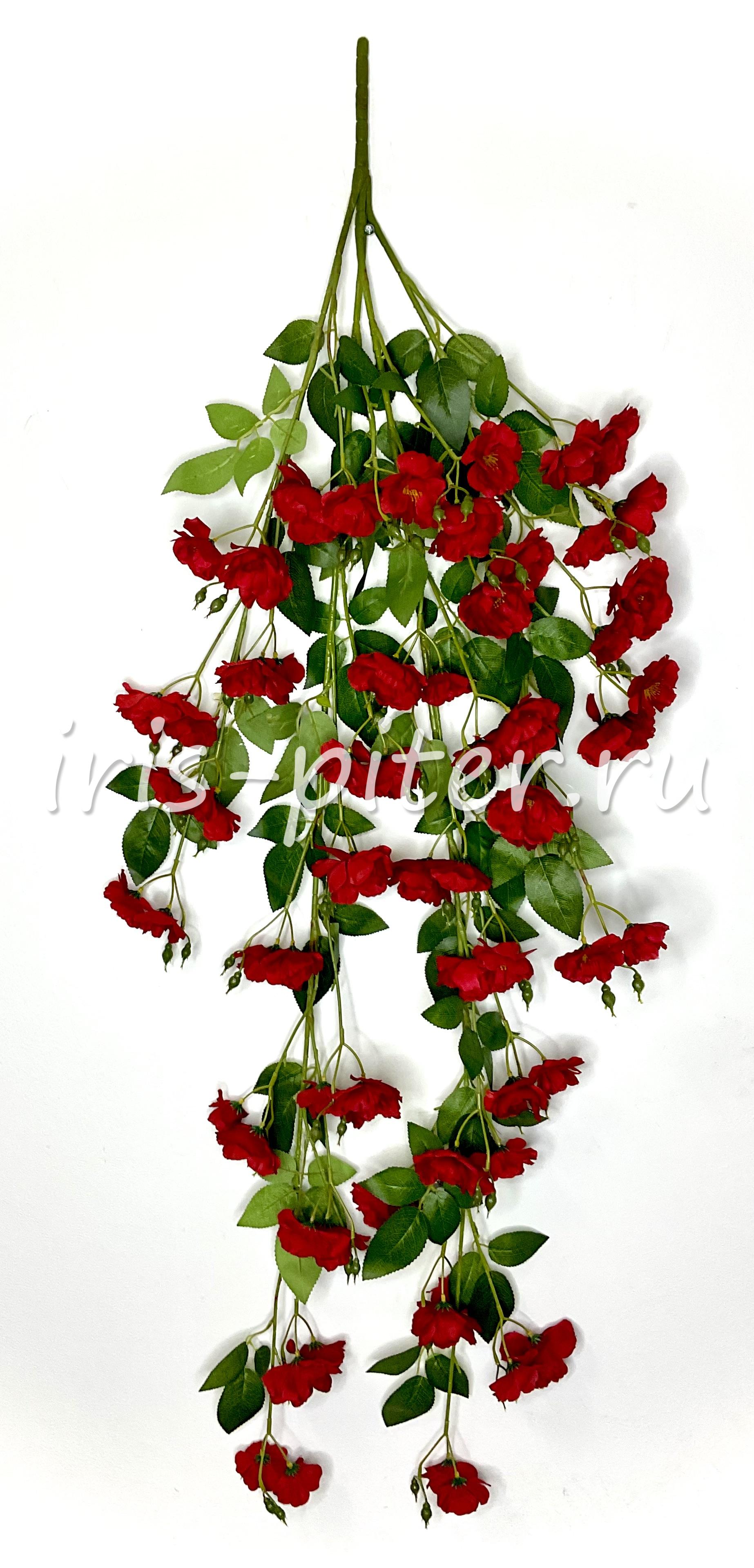 Ветка яблоня 4вет