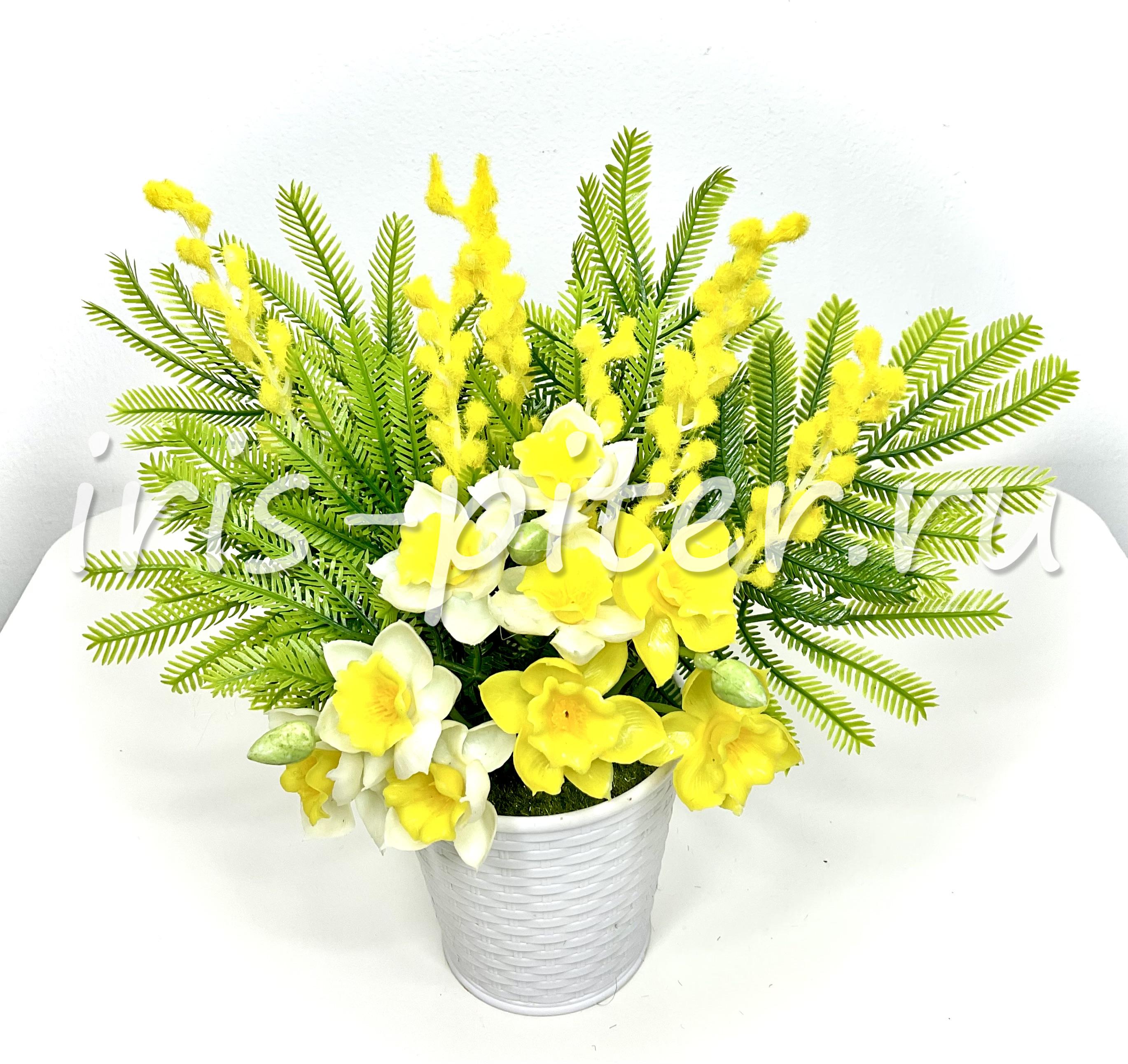 Мимоза с нарциссом в горшке