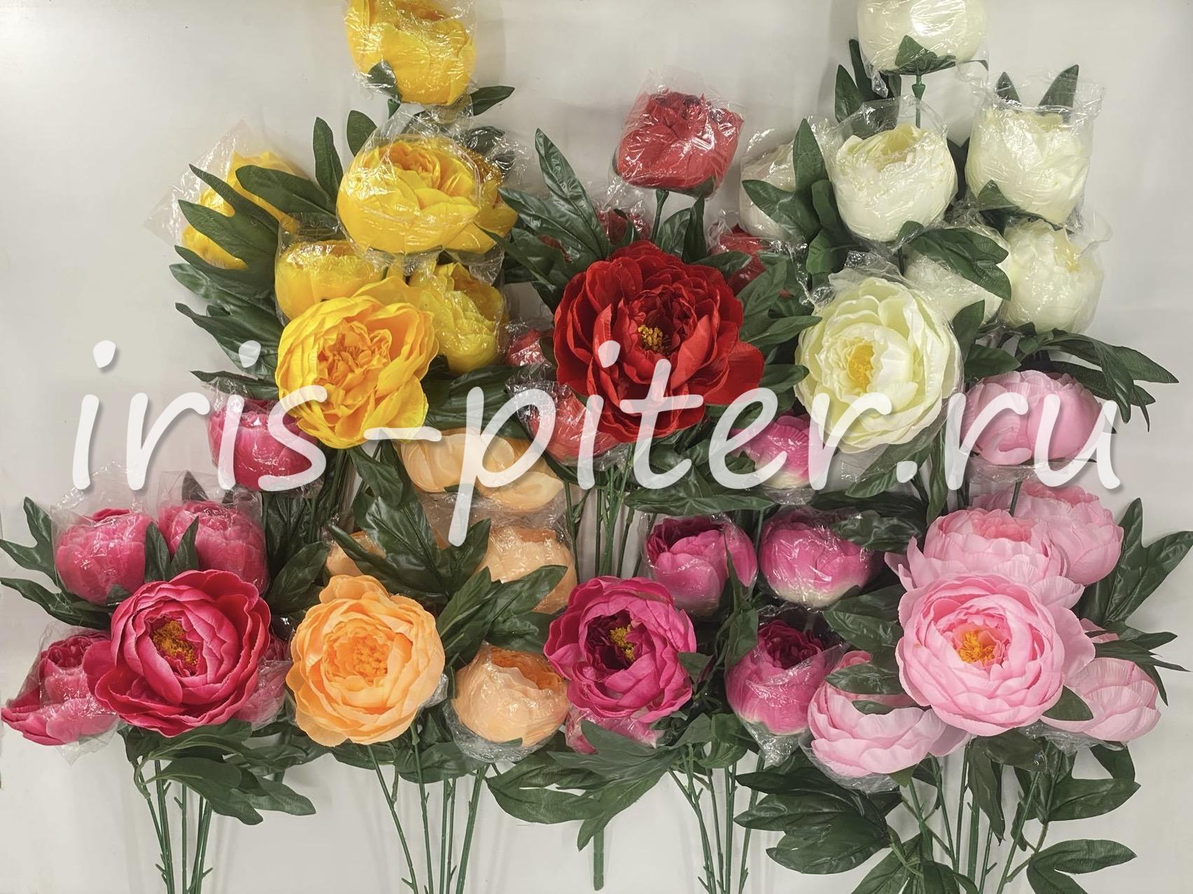 Букет пион 5г 3бут полураскрытый