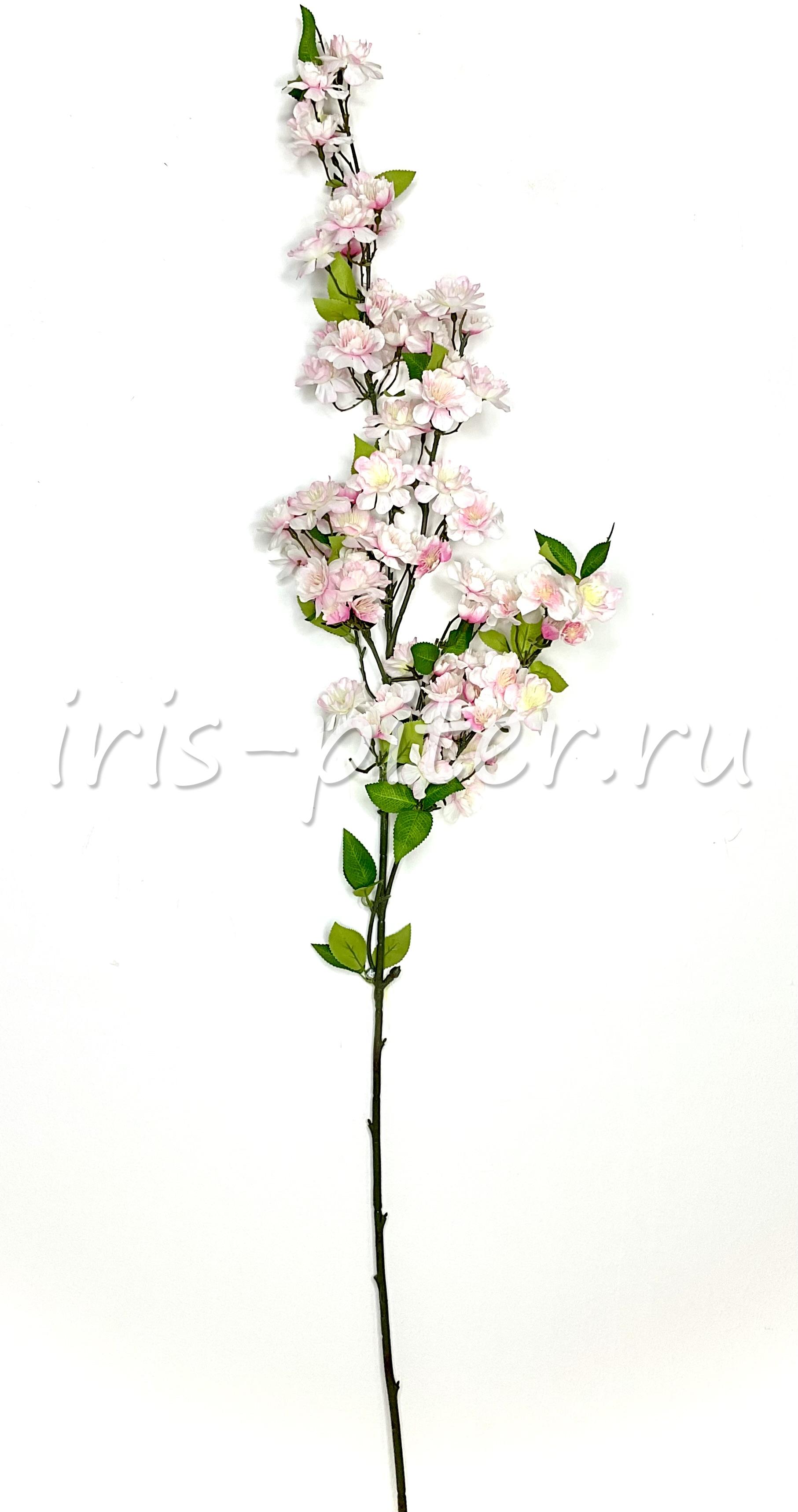 Ветка сакура 3вет