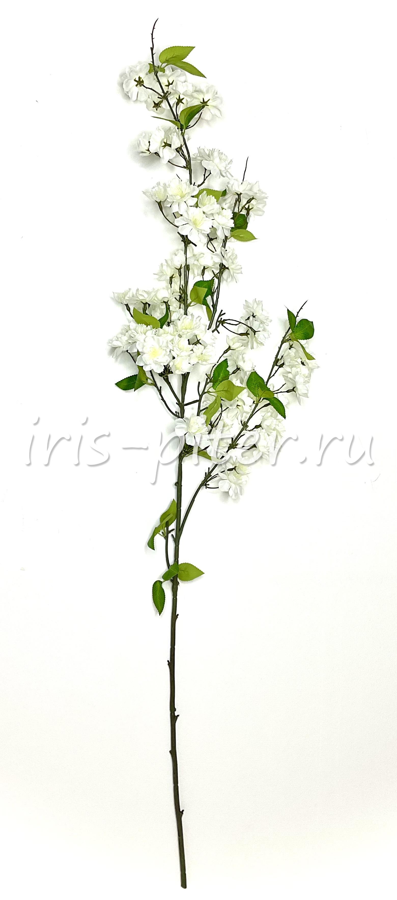 Ветка сакура 3вет