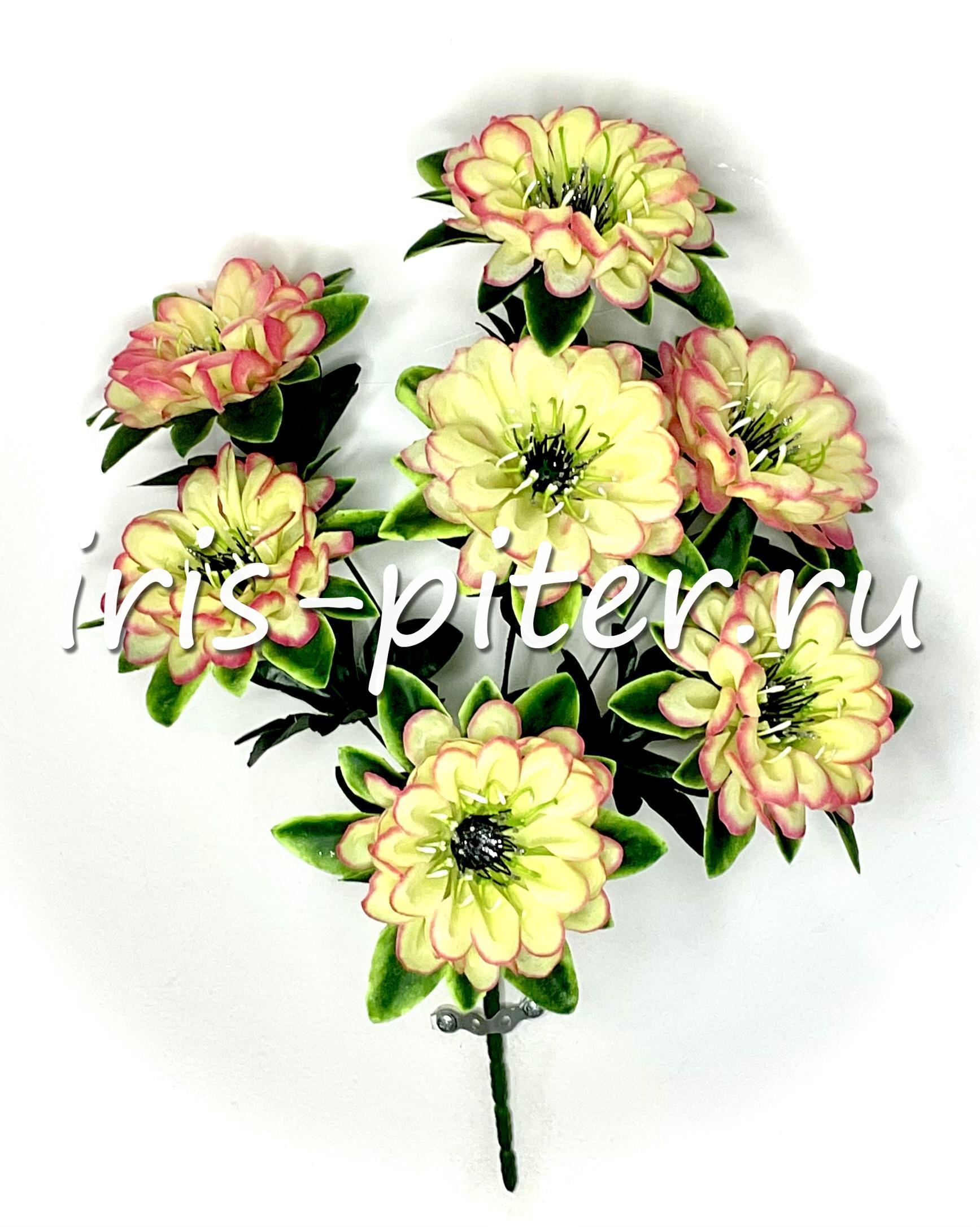 Букет георгин 7г 