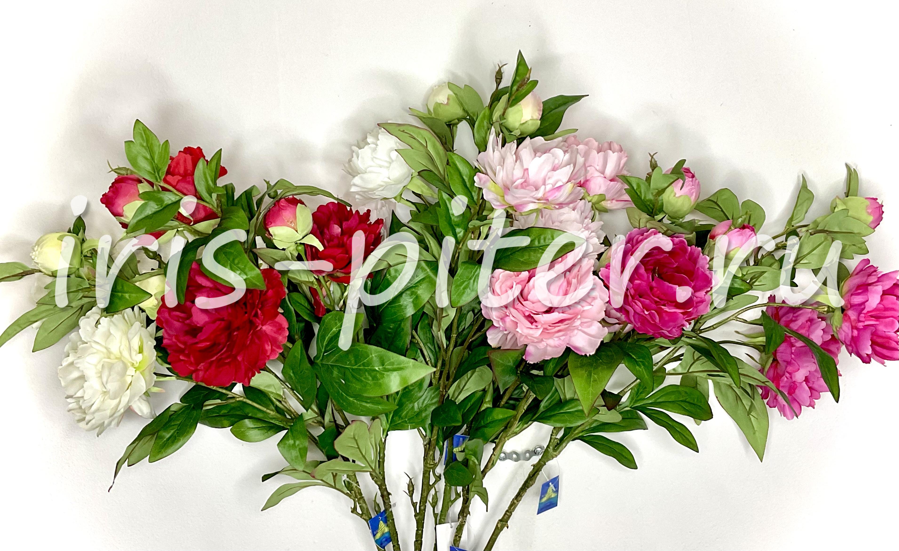 Ветка пион 3г 2бут