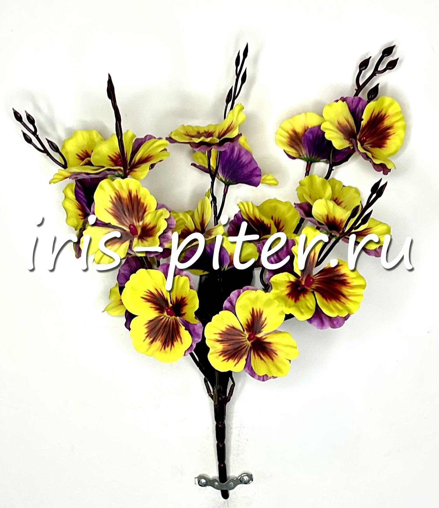 Букет анютины глазки 5вет 20г