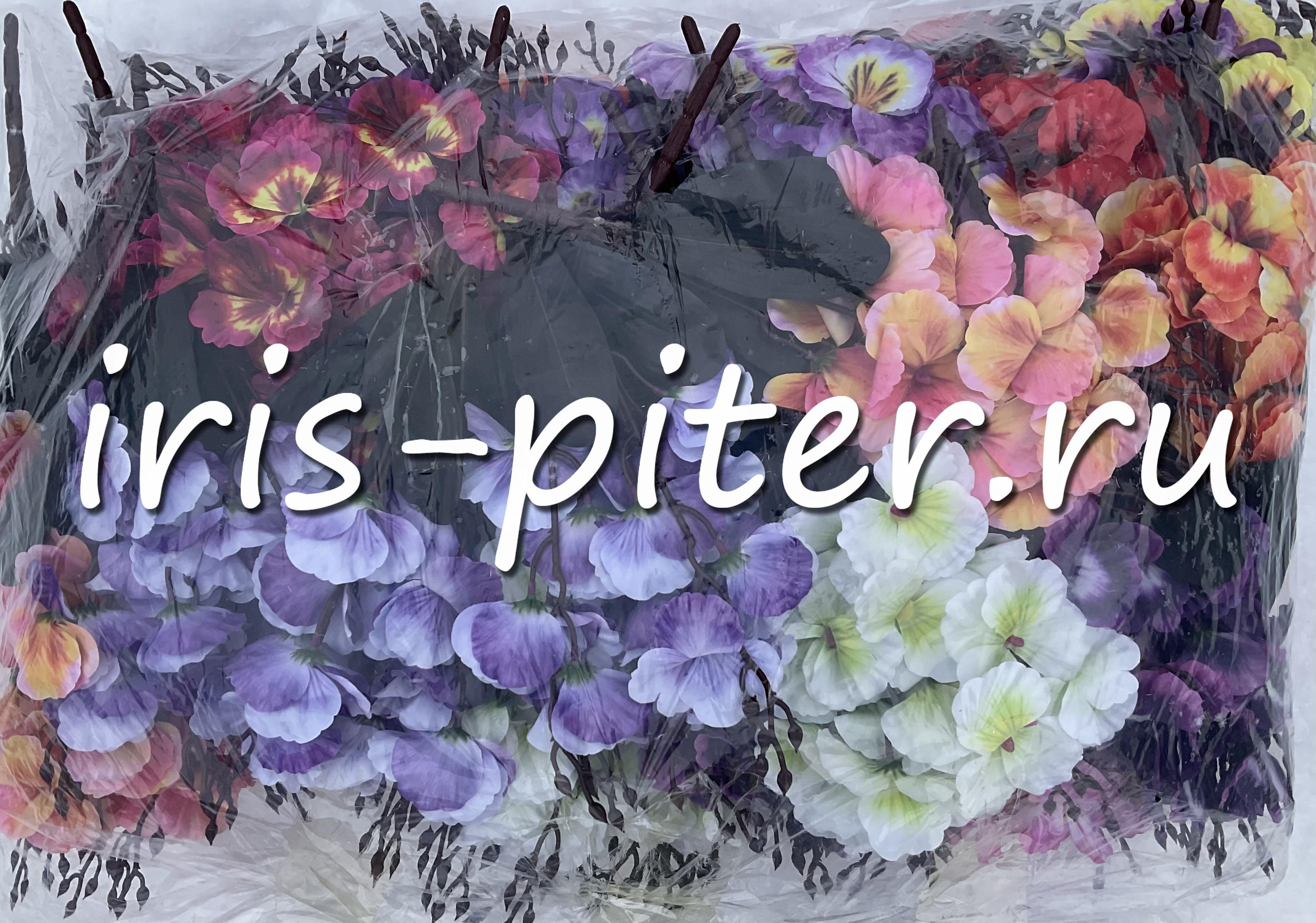 Букет анютины глазки 5вет 20г