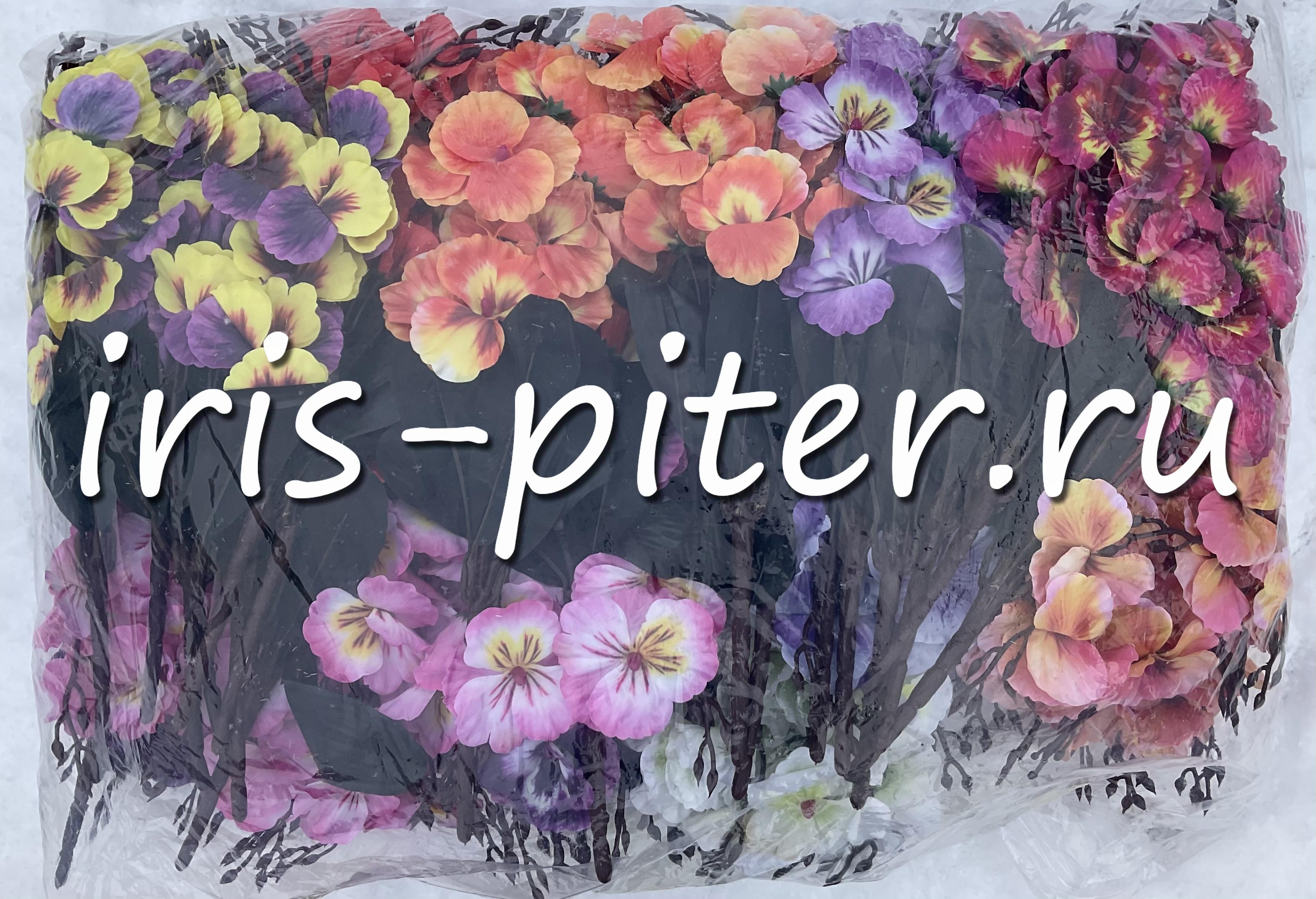 Букет анютины глазки 5вет 20г