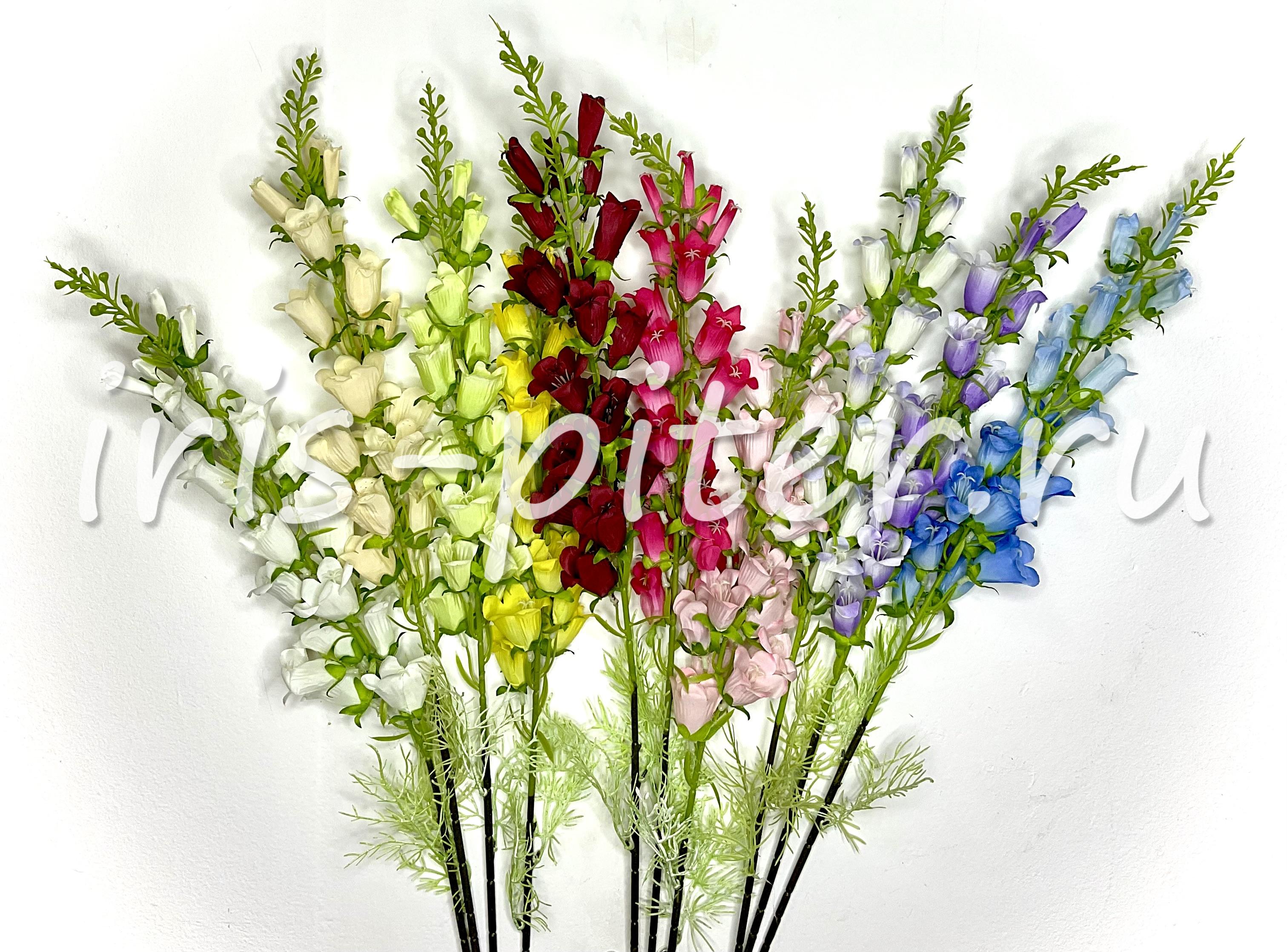 Ветка колокольчика кампанула