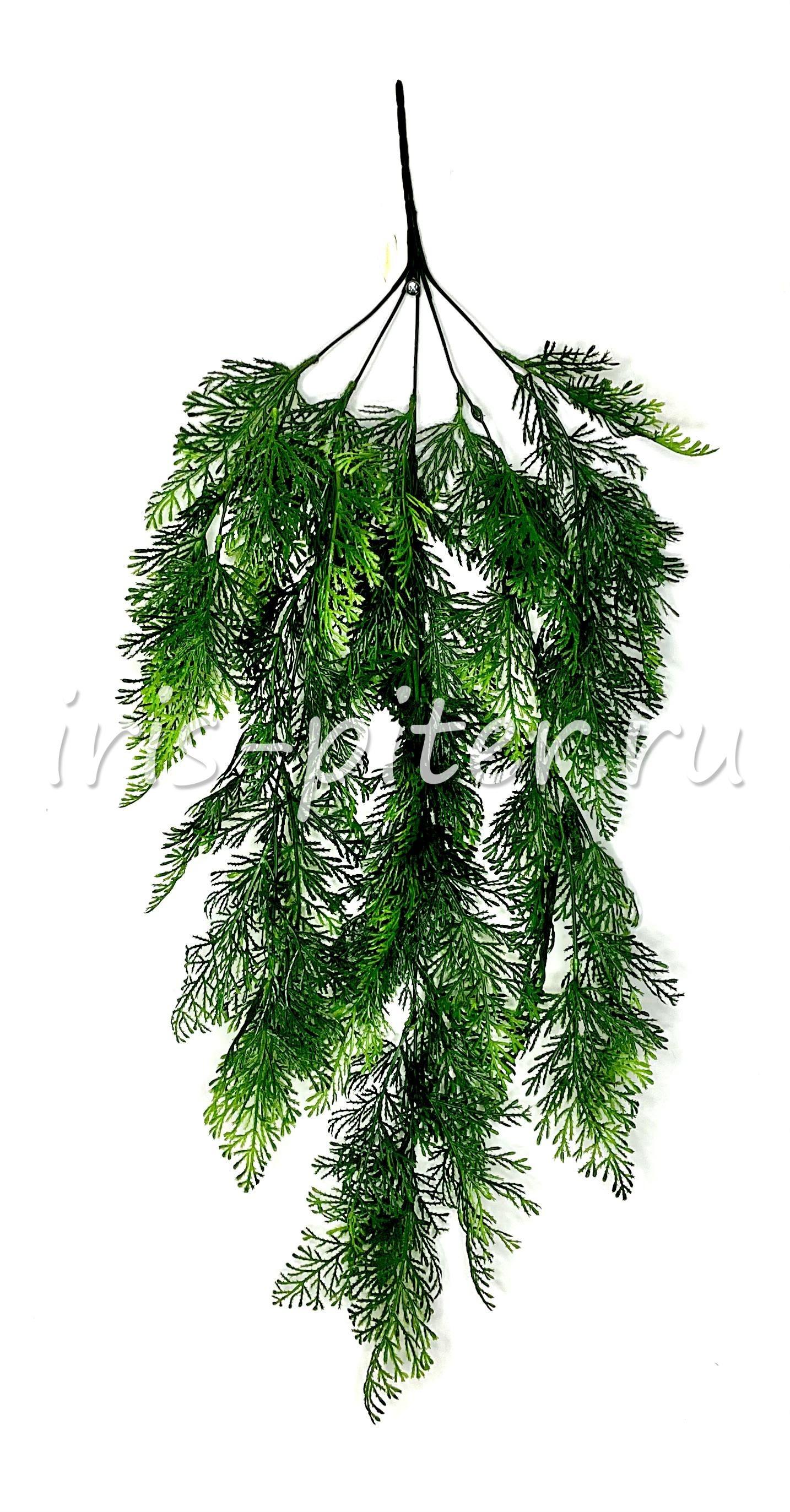 Ветка туя 5вет темная