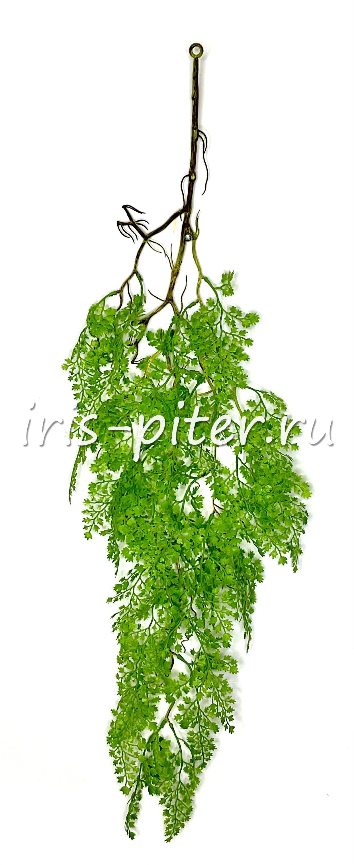 Ветка адиантум