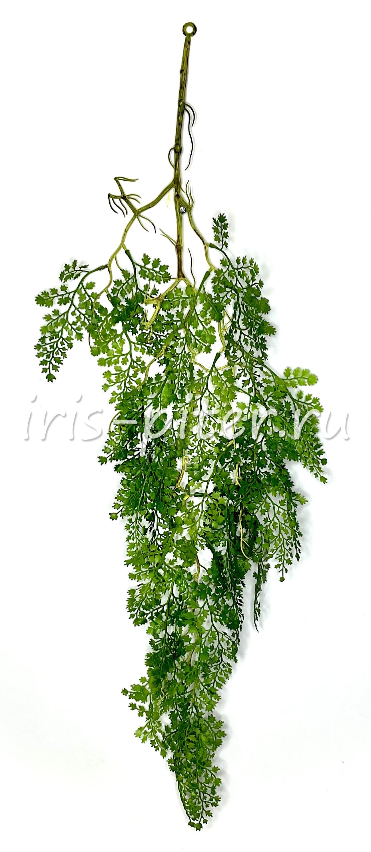 Ветка адиантум