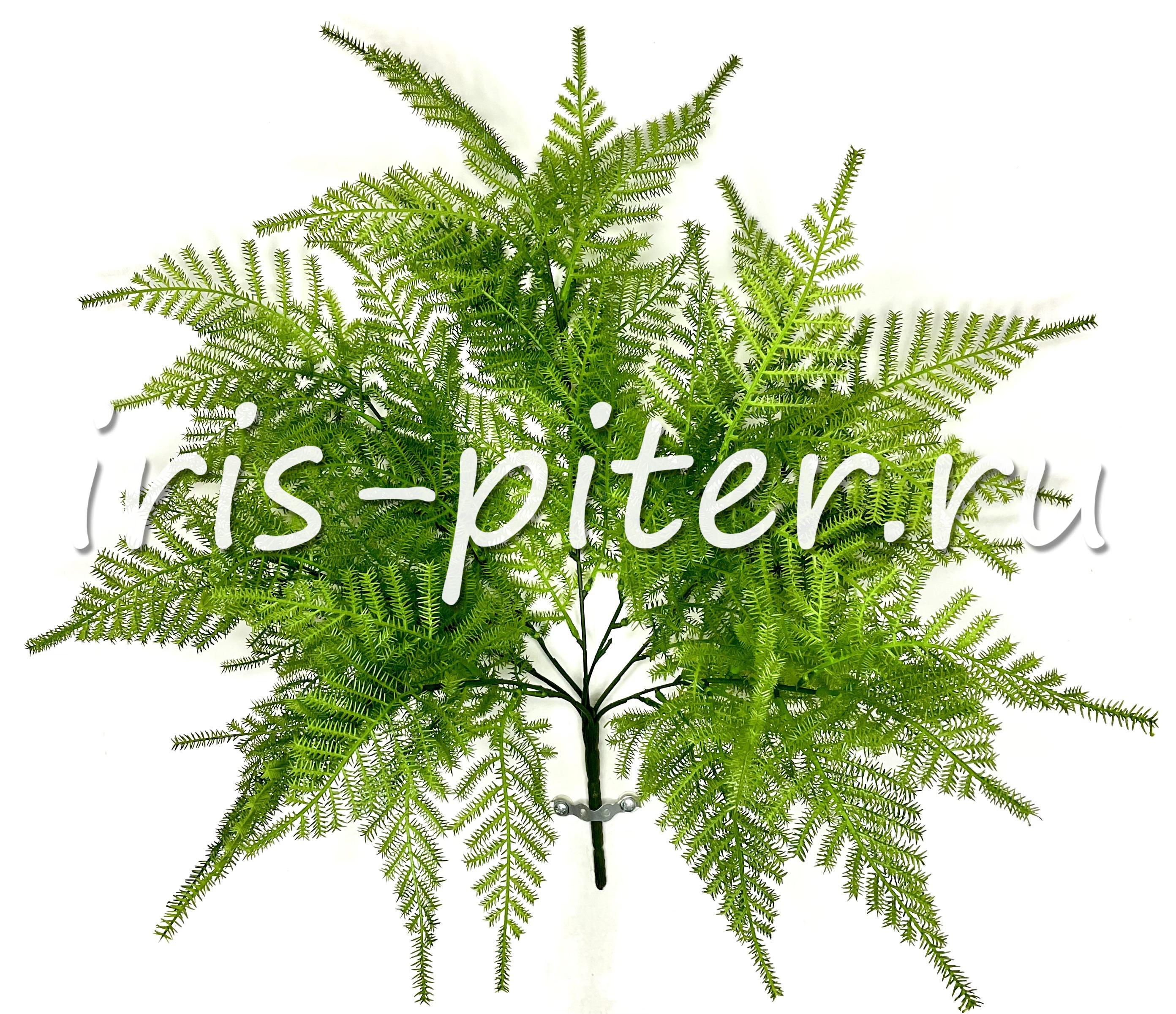 Аспарагус 7вет латекс