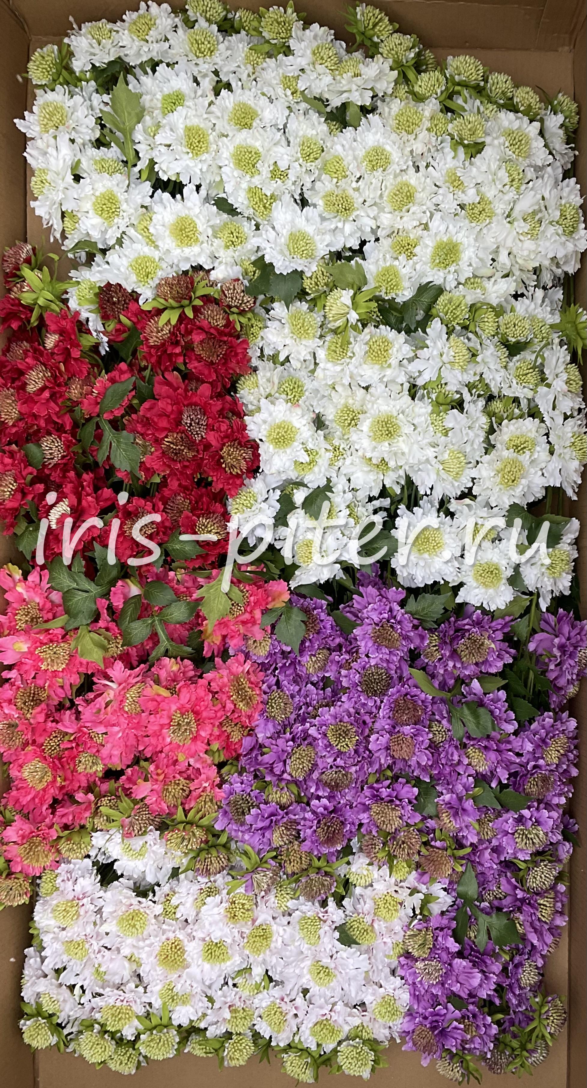 Ветка скабиоза