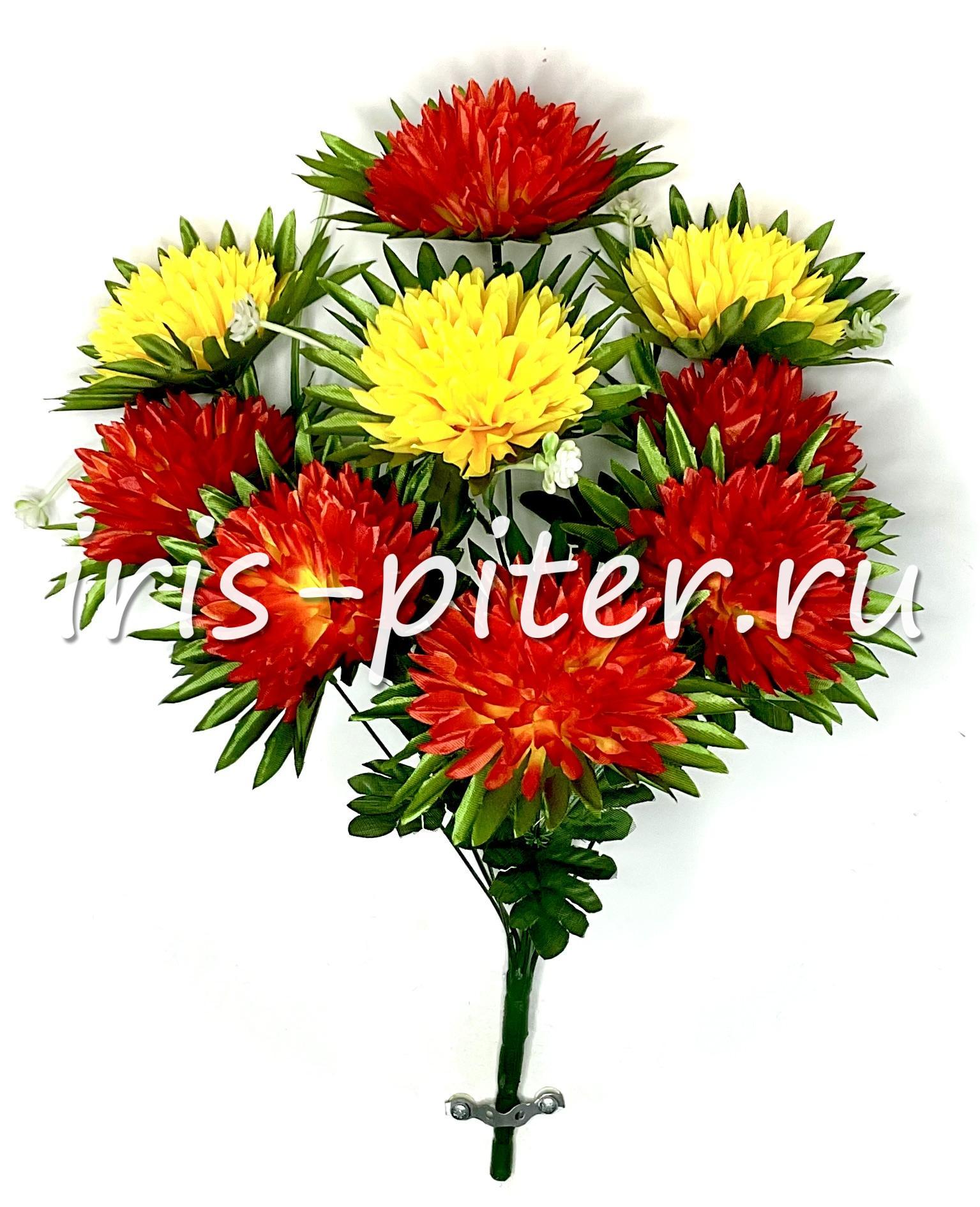 Букет хризантема 9г двухцветная с розеткой