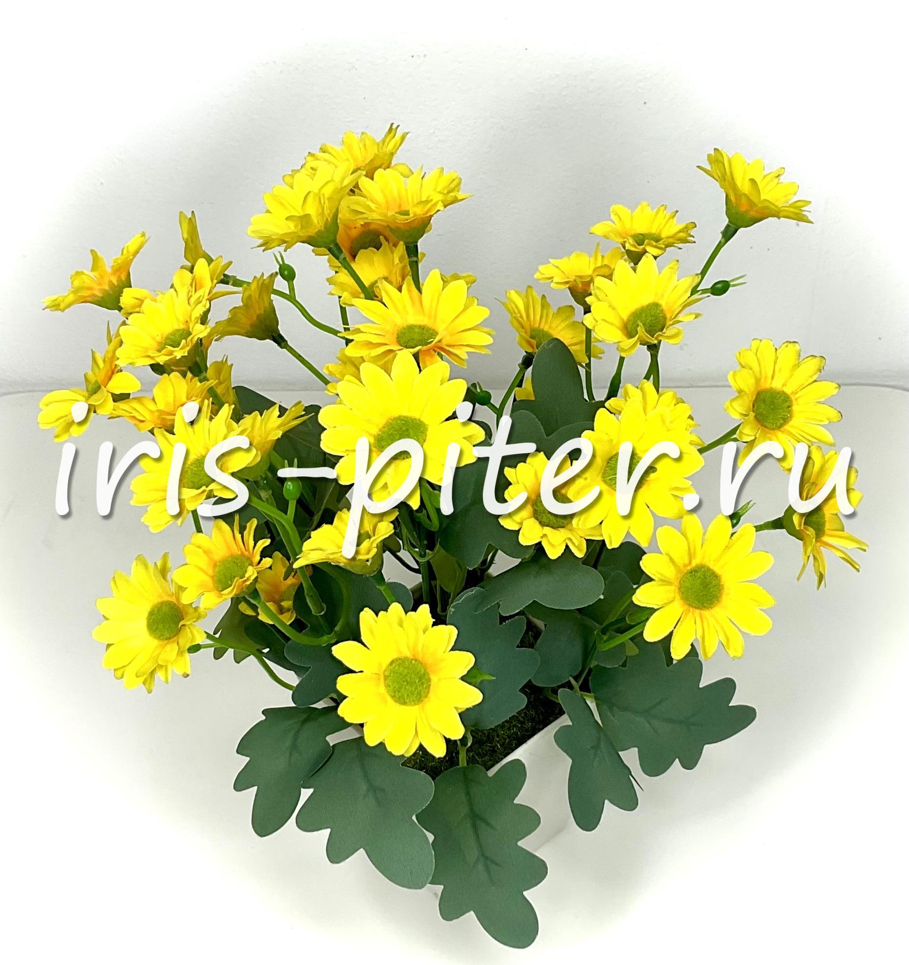 ромашка 48г в большом горшке