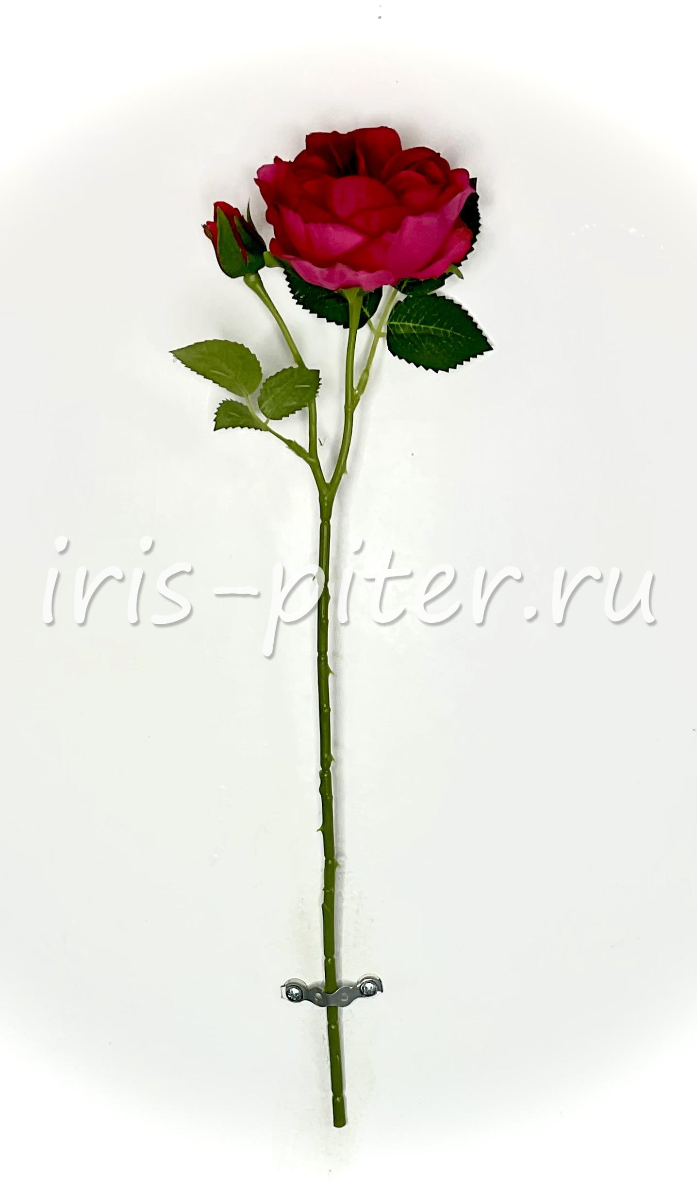 Ветка роза 1г 1бут пионовидная