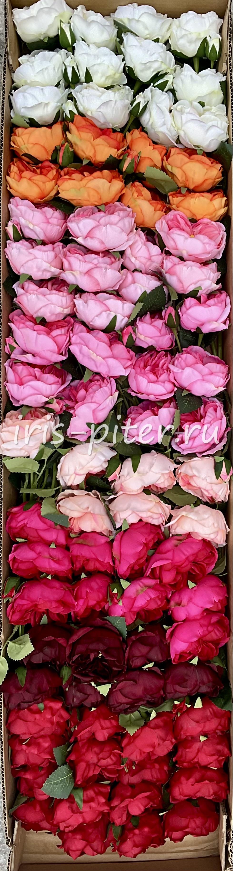 Ветка роза 1г 1бут пионовидная