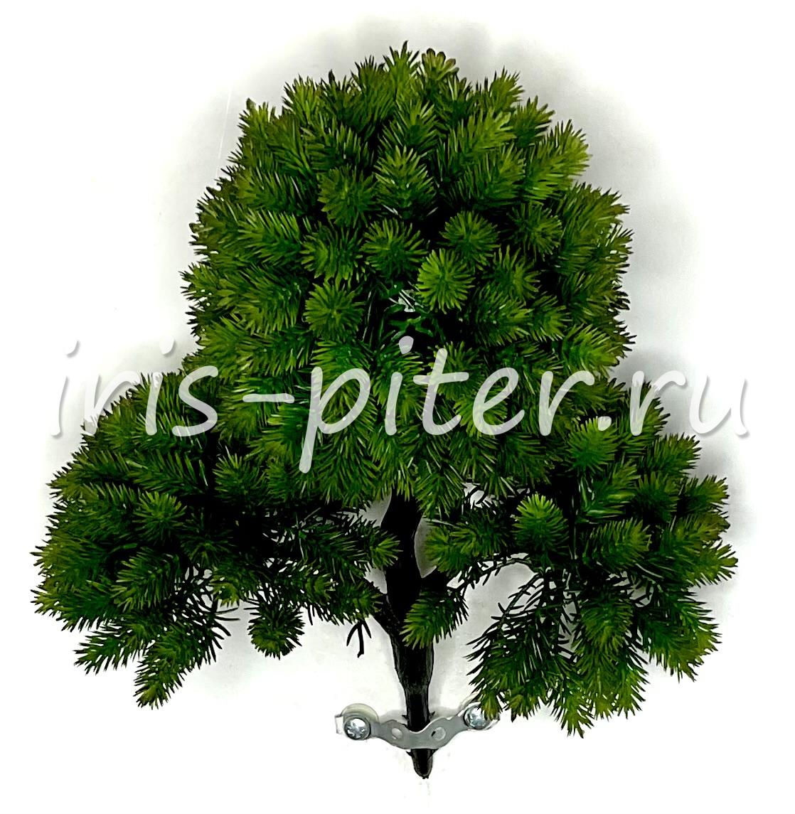 бонсай 3 ветки 